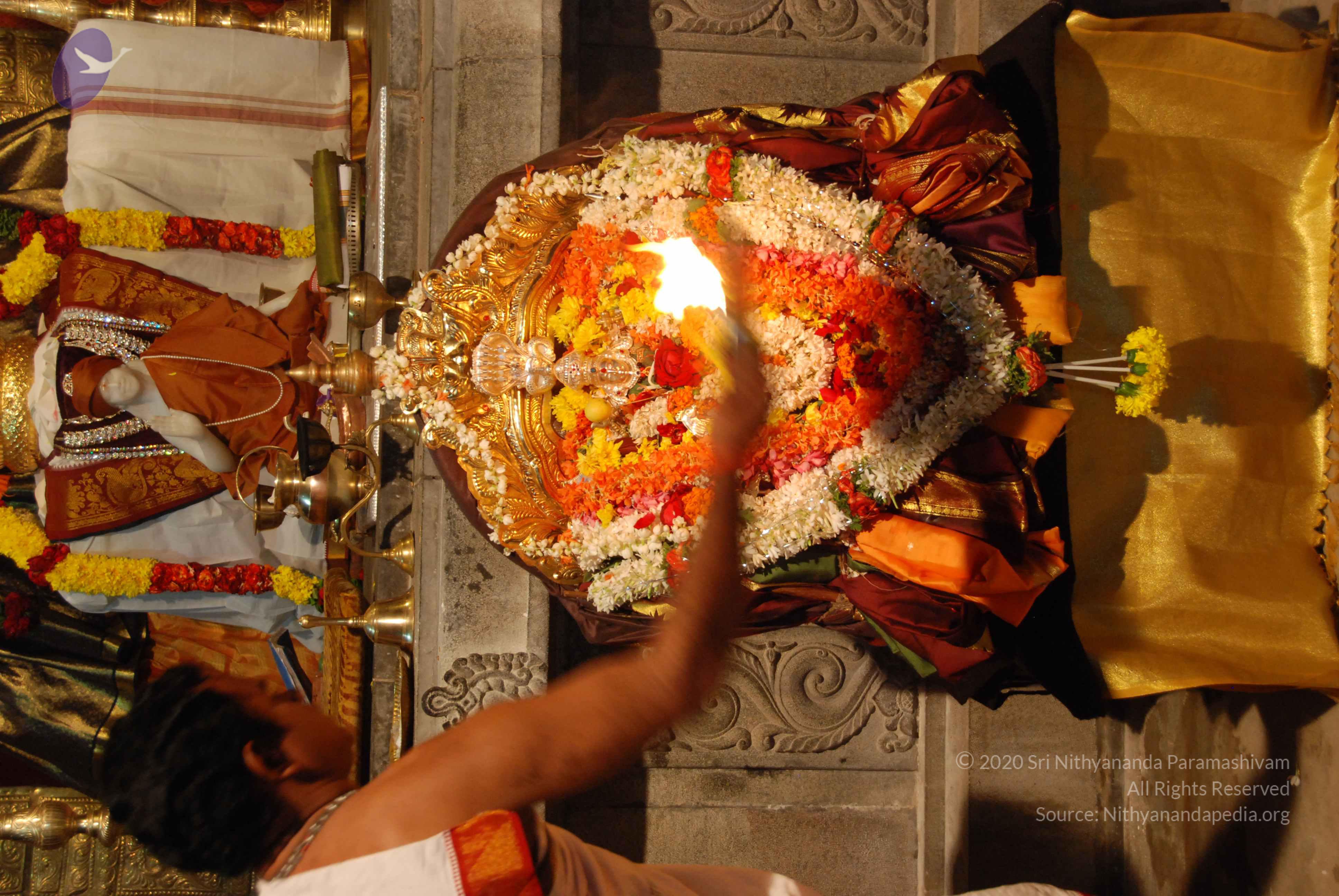 20170720_Photo_1034_DSC_4479_CMP_WM