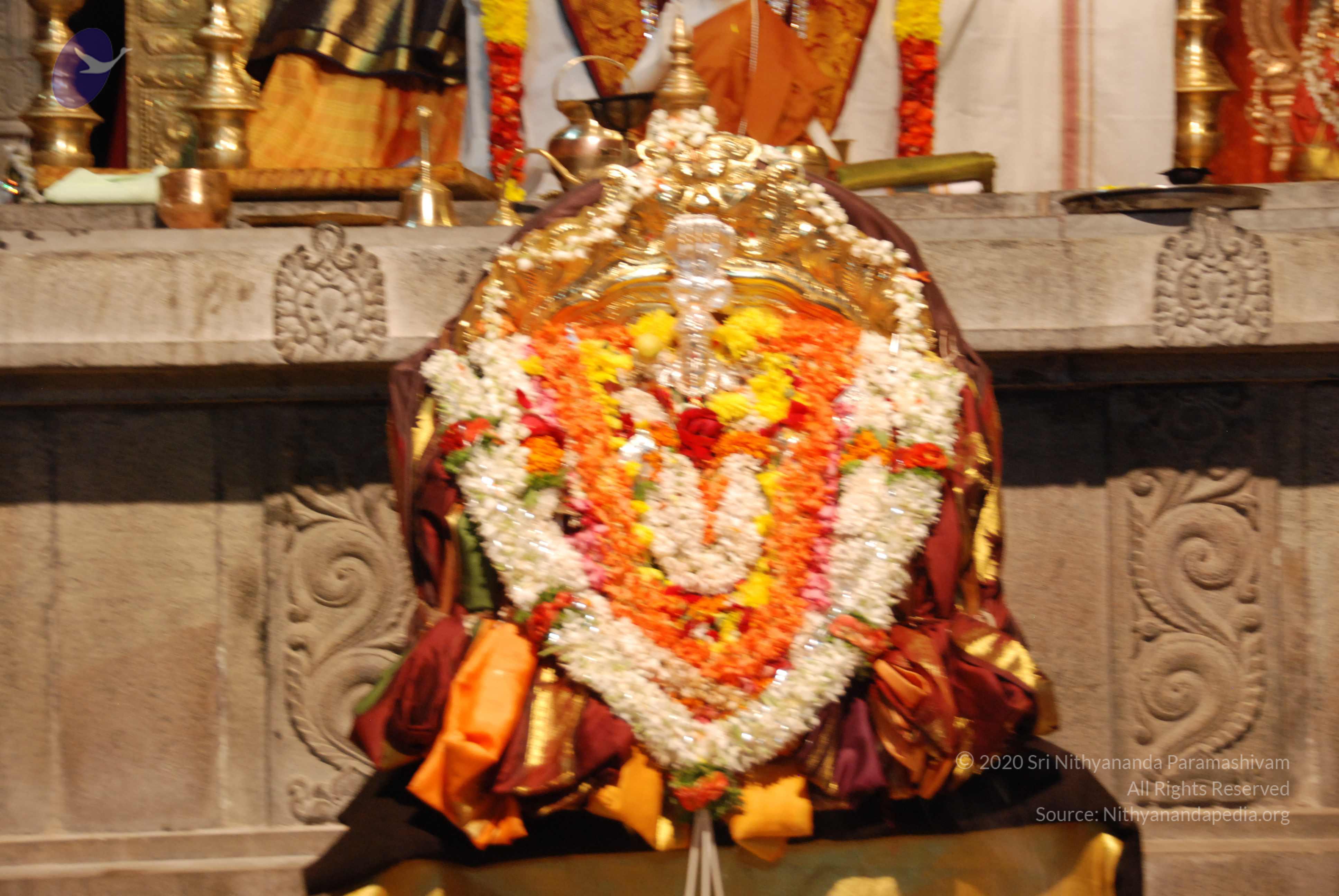 20170720_Photo_1035_DSC_4538_CMP_WM