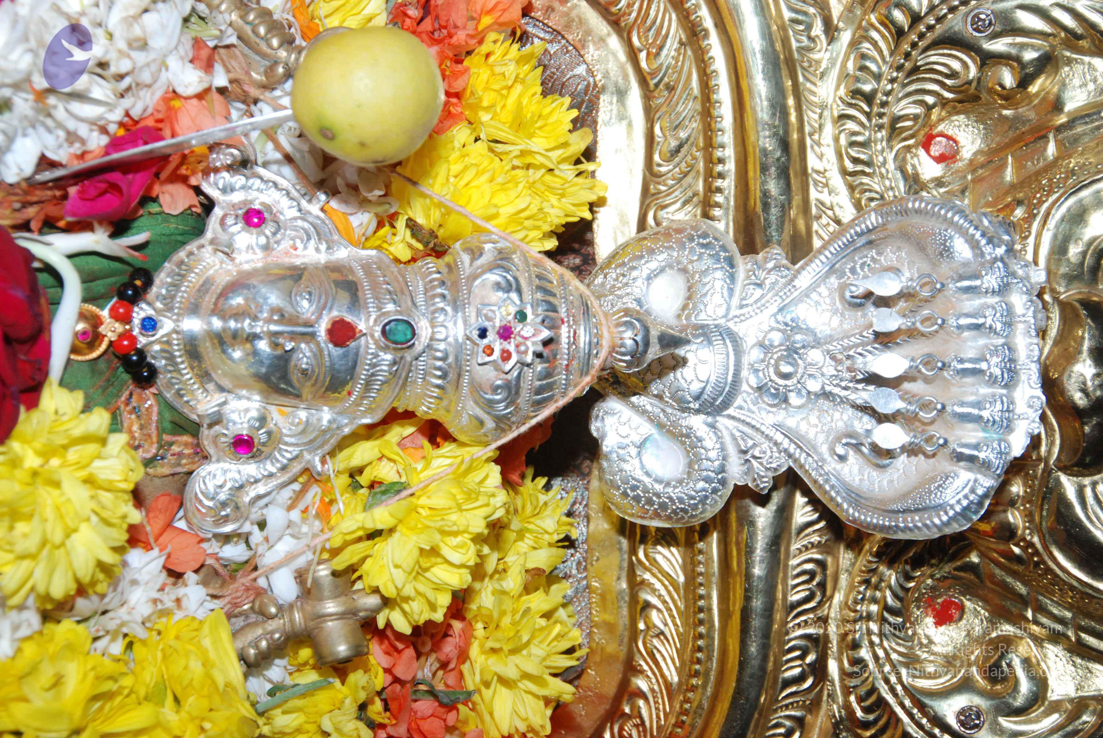 20170720_Photo_1037_DSC_4592_CMP_WM