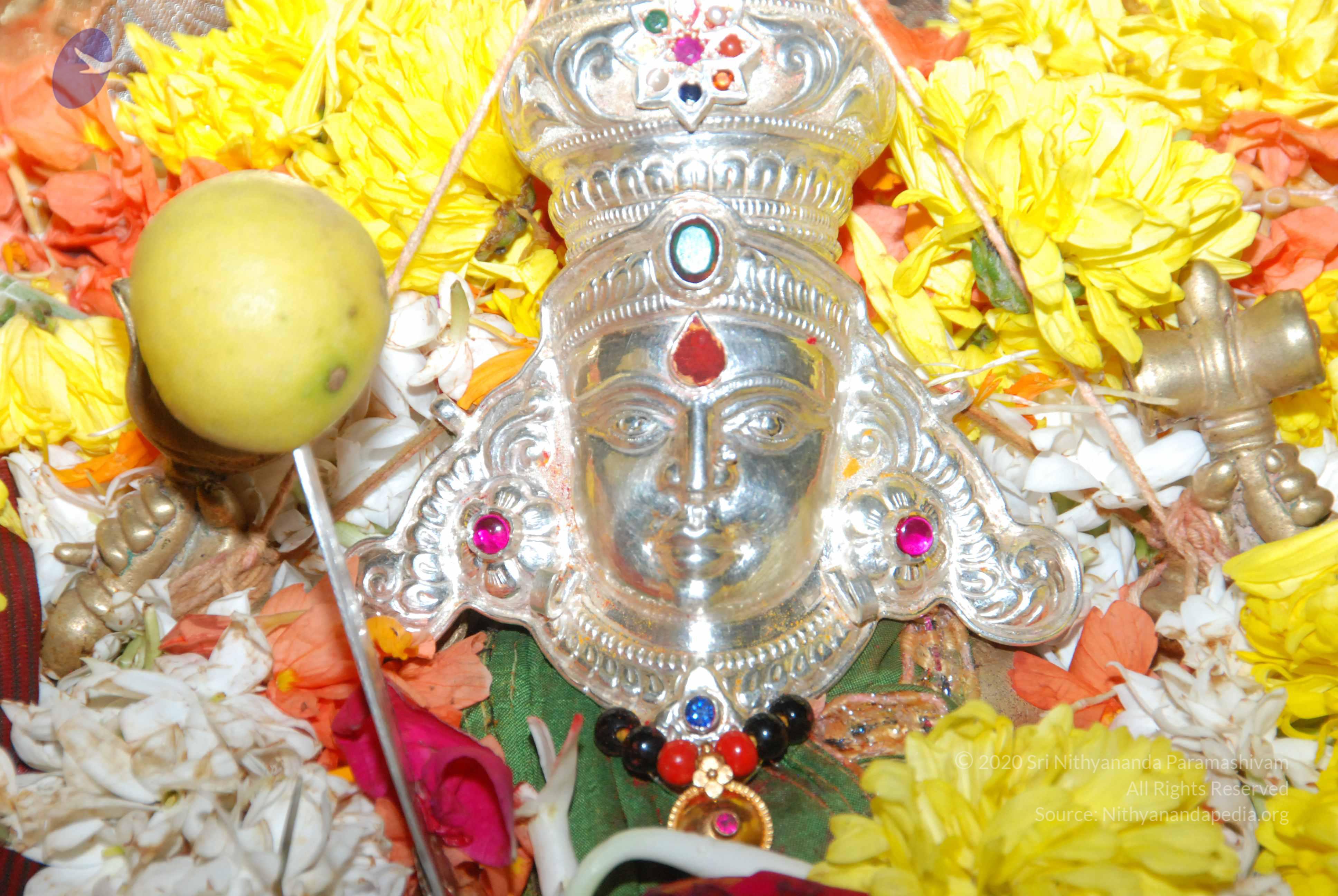 20170720_Photo_1038_DSC_4595_CMP_WM