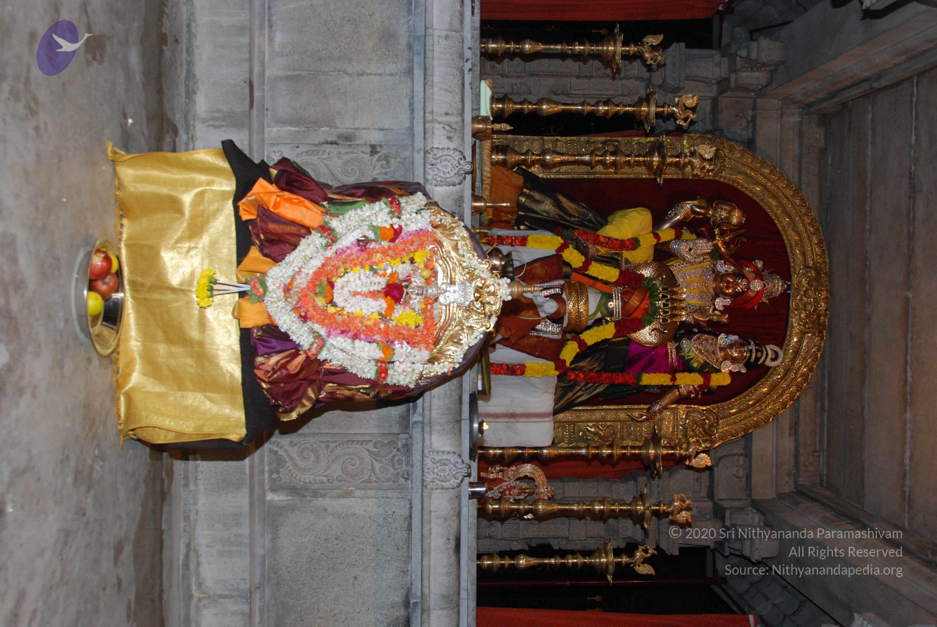 20170720_Photo_1046_DSC_4437_CMP_WM