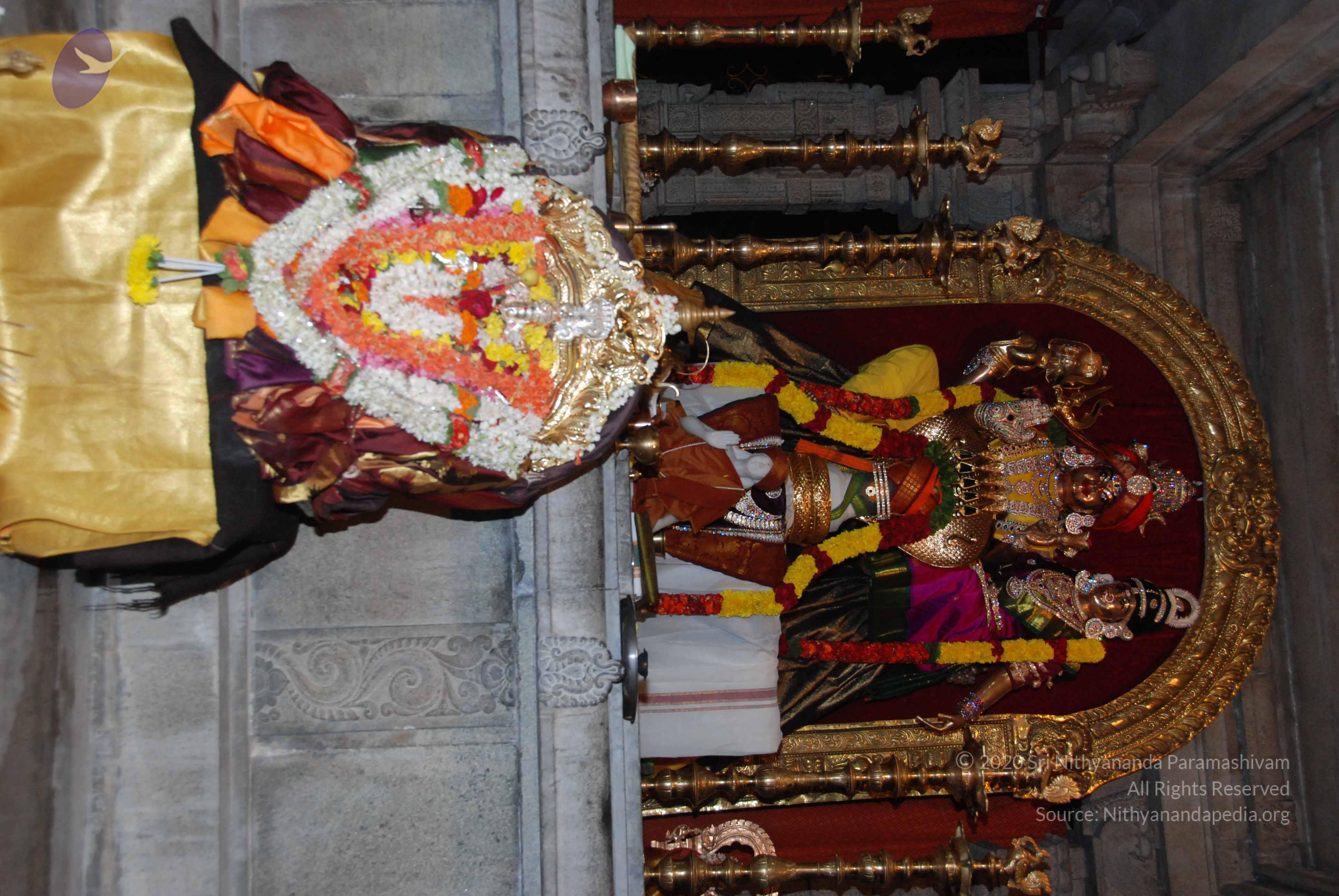 20170720_Photo_1051_DSC_4532_CMP_WM