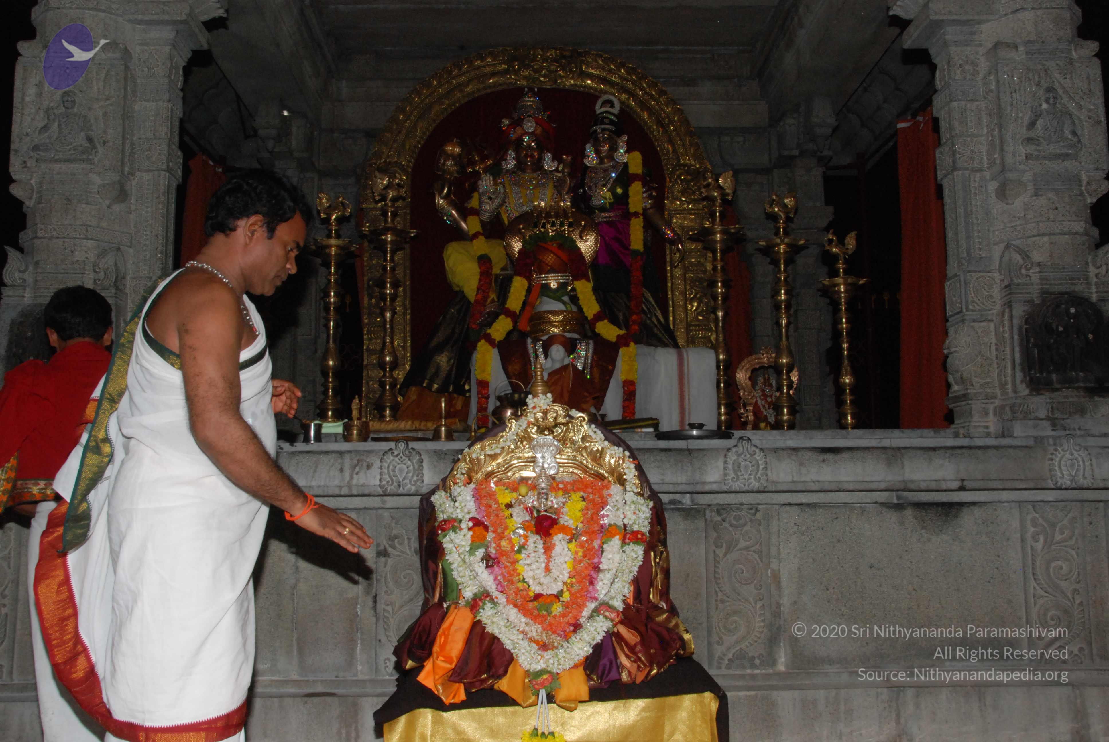 20170720_Photo_1053_DSC_4444_CMP_WM