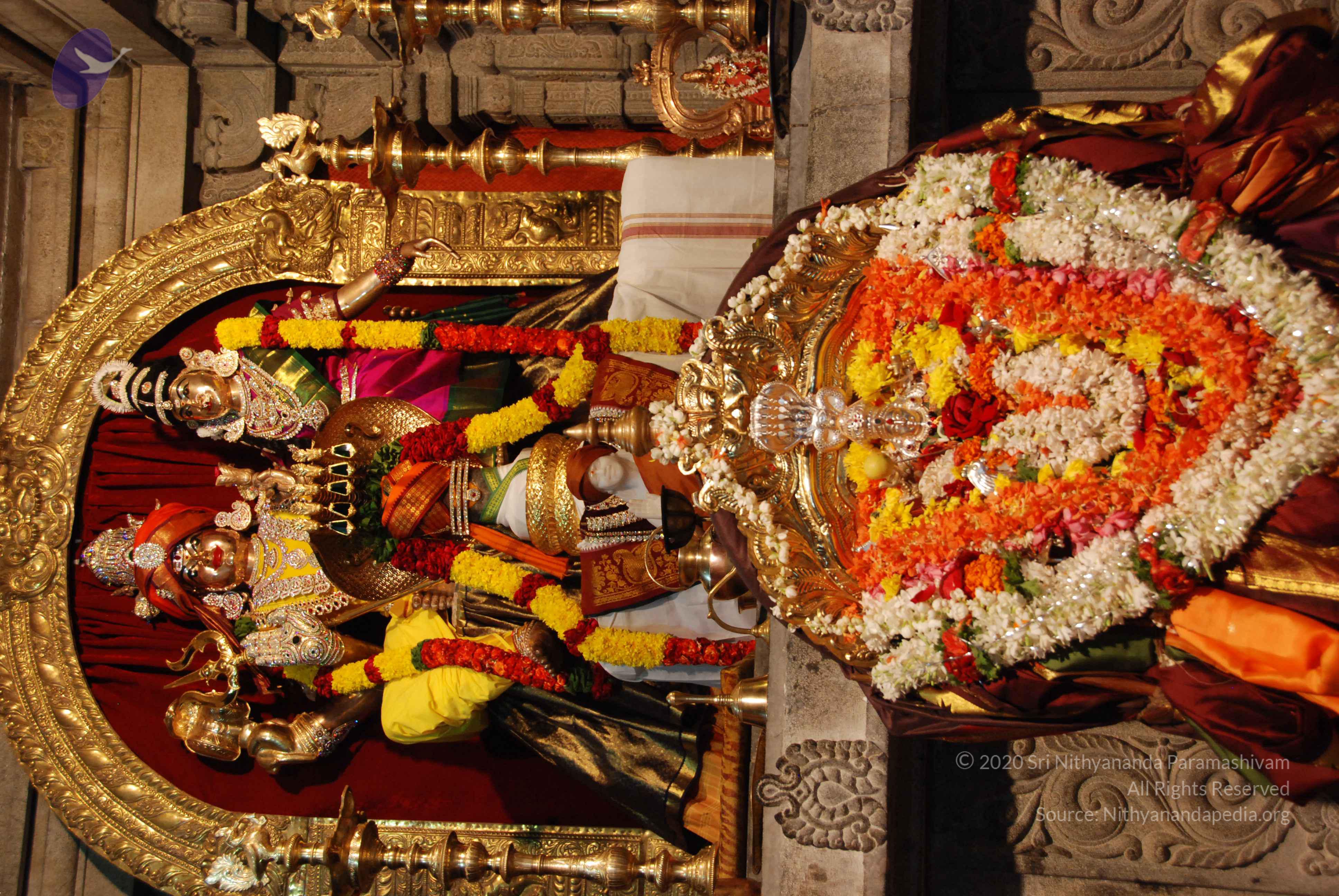 20170720_Photo_1055_DSC_4550_CMP_WM