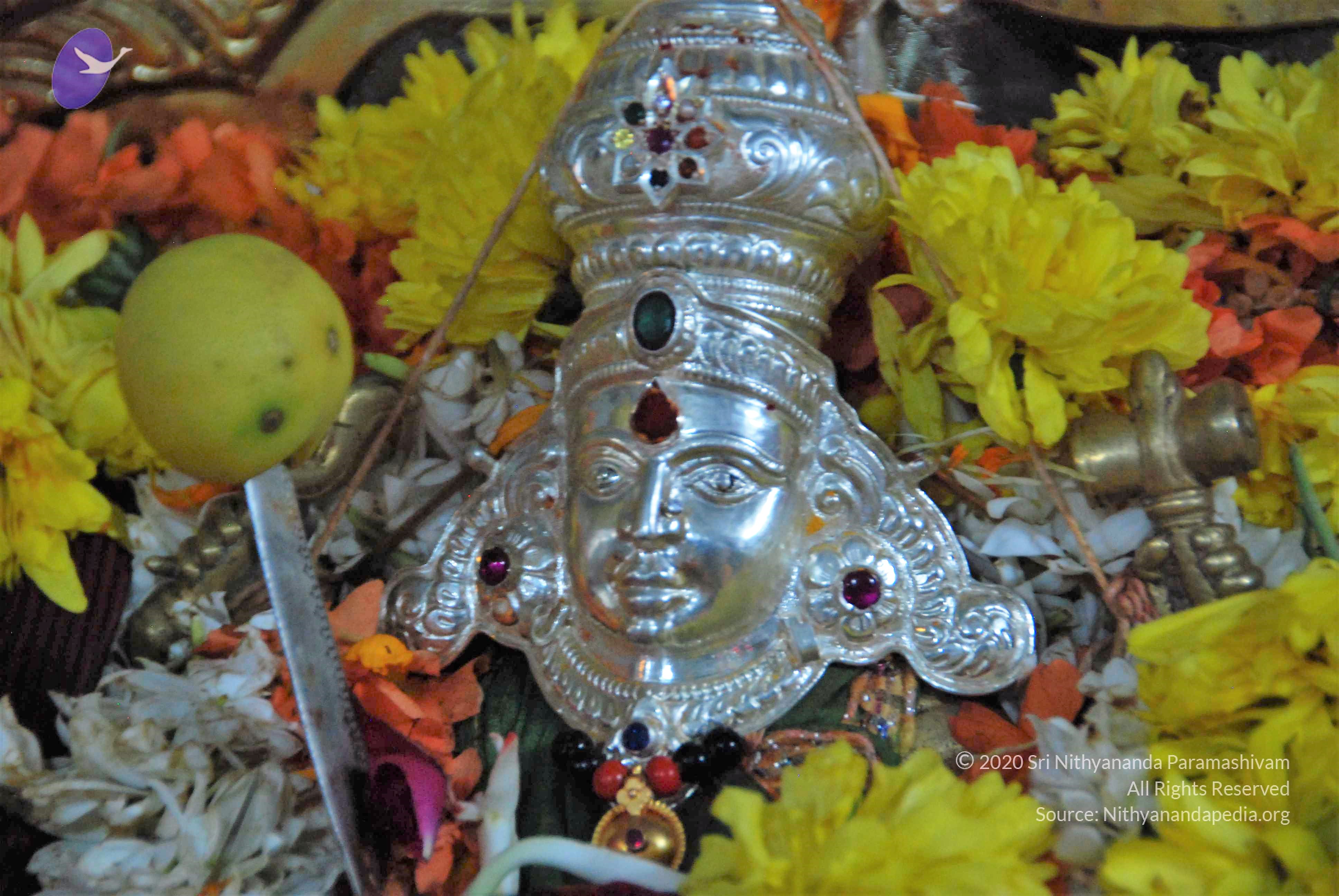 20170720_Photo_1056_DSC_4598_CMP_WM