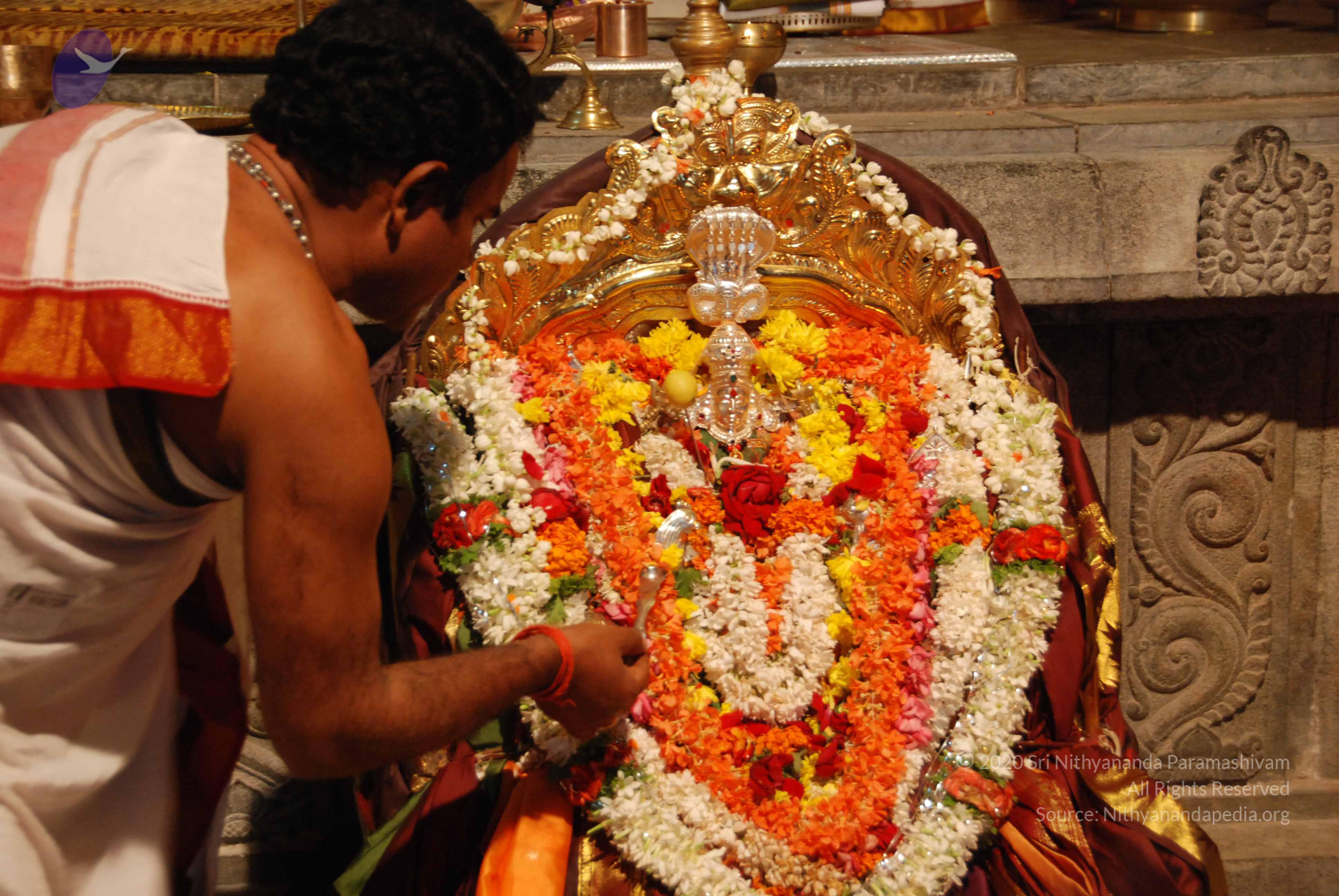 20170720_Photo_1060_DSC_4489_CMP_WM