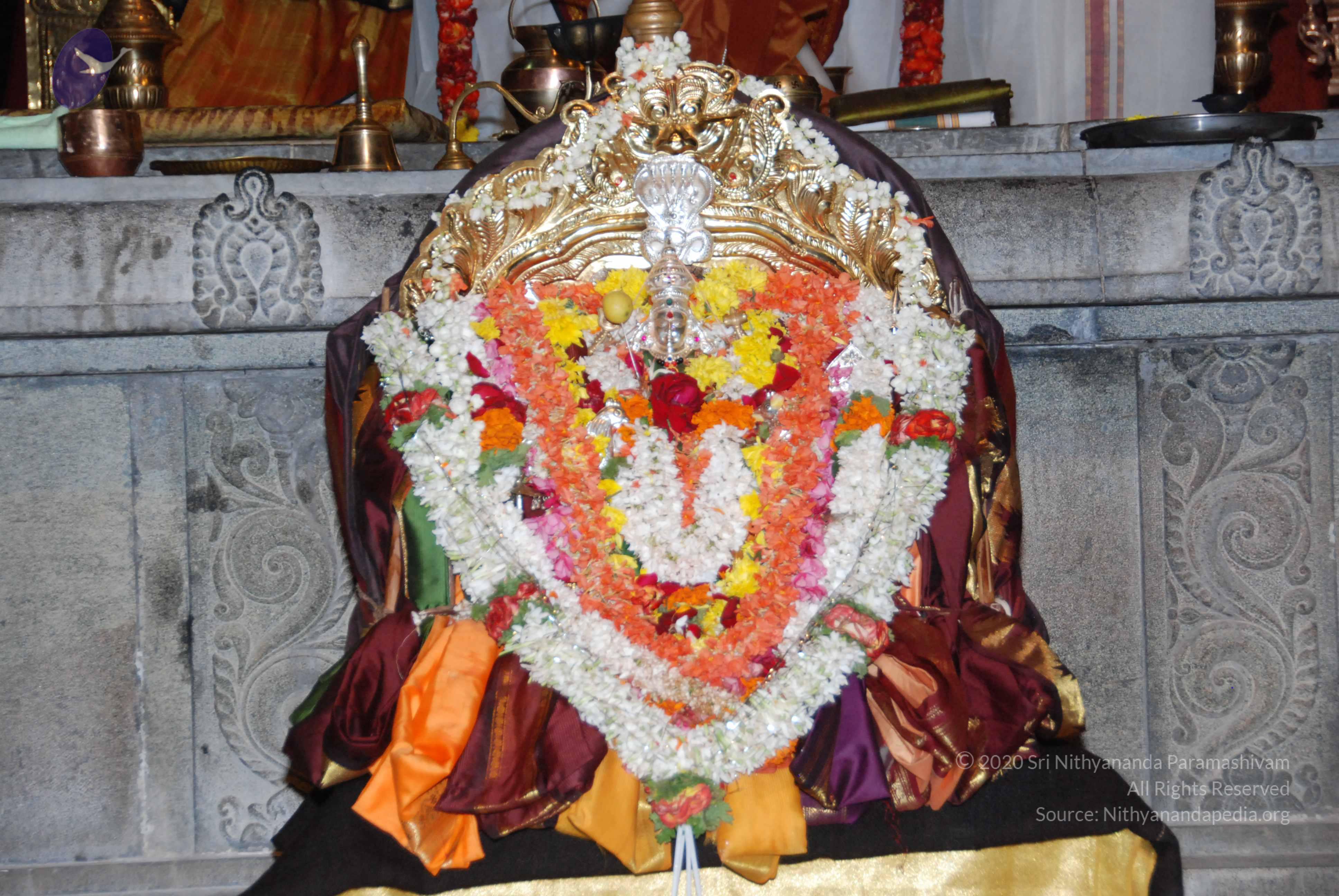 20170720_Photo_1062_DSC_4537_CMP_WM