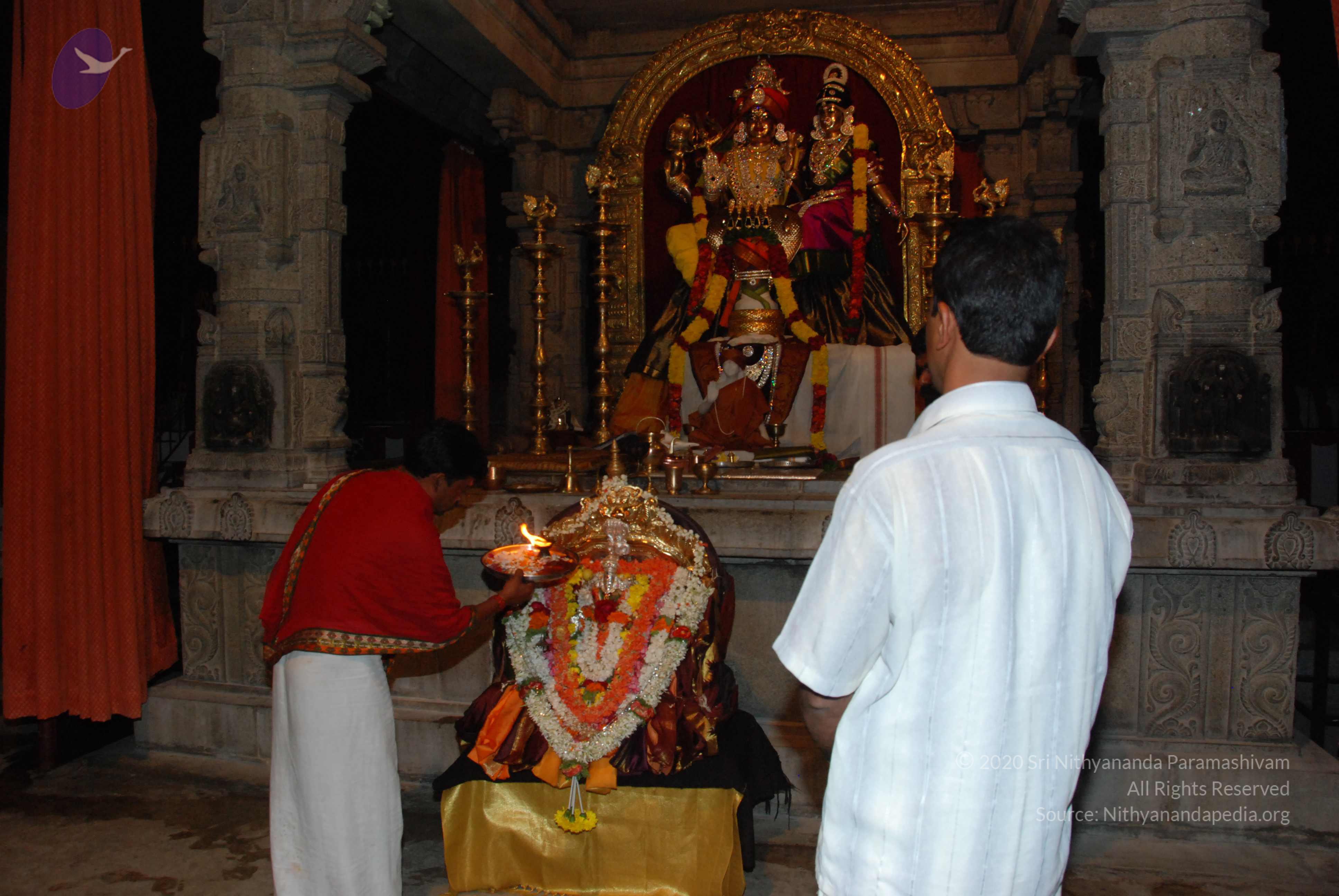 20170720_Photo_1063_DSC_4423_CMP_WM