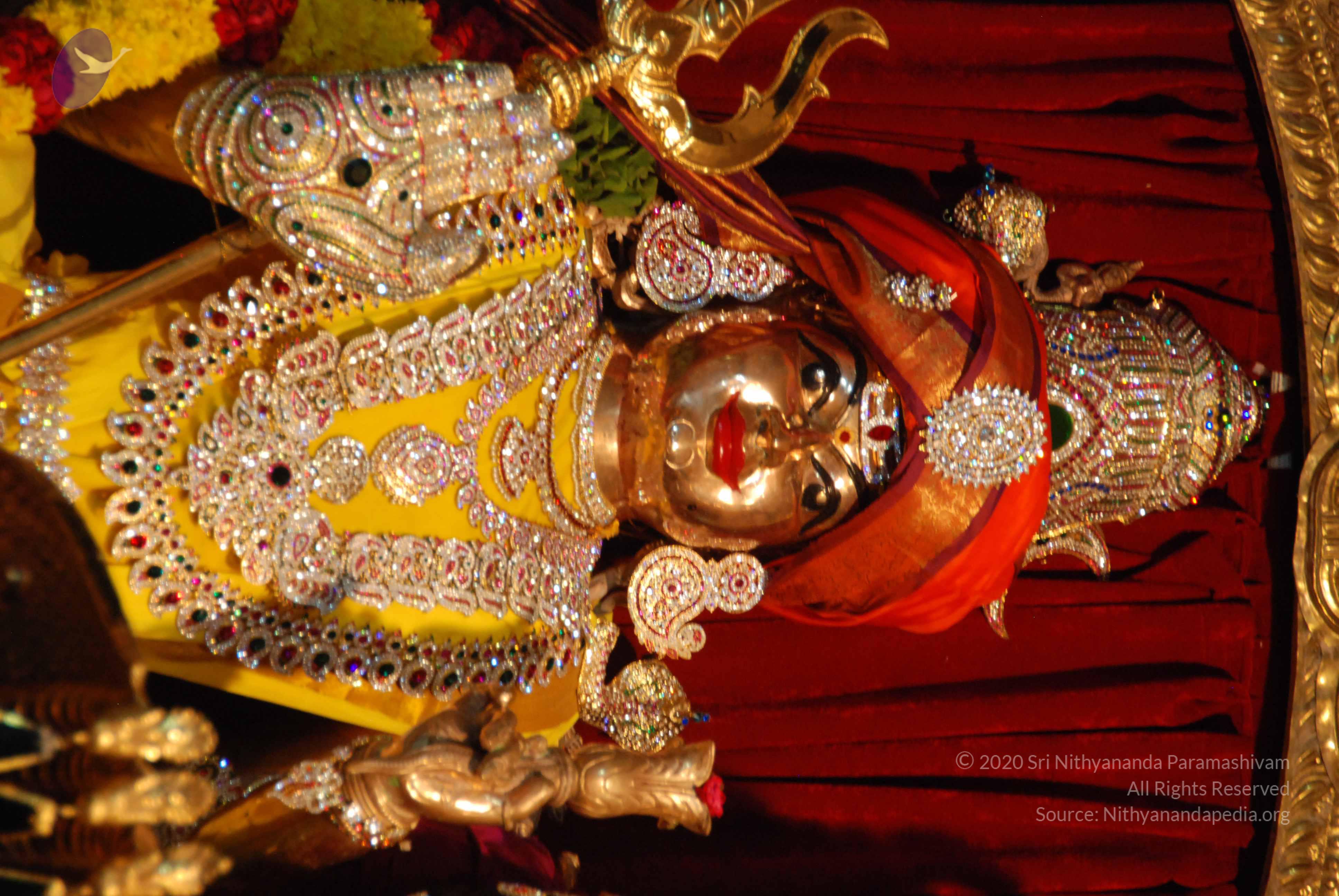 20170720_Photo_1066_DSC_4562_CMP_WM