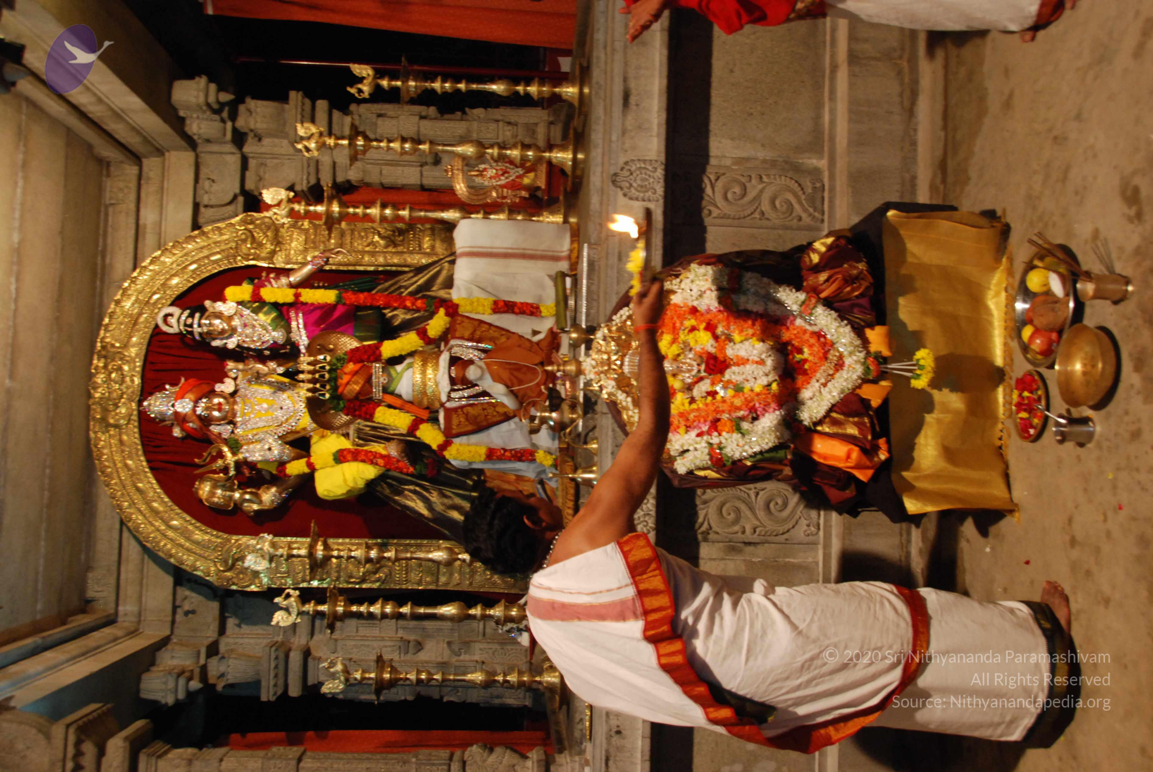 20170720_Photo_1068_DSC_4476_CMP_WM