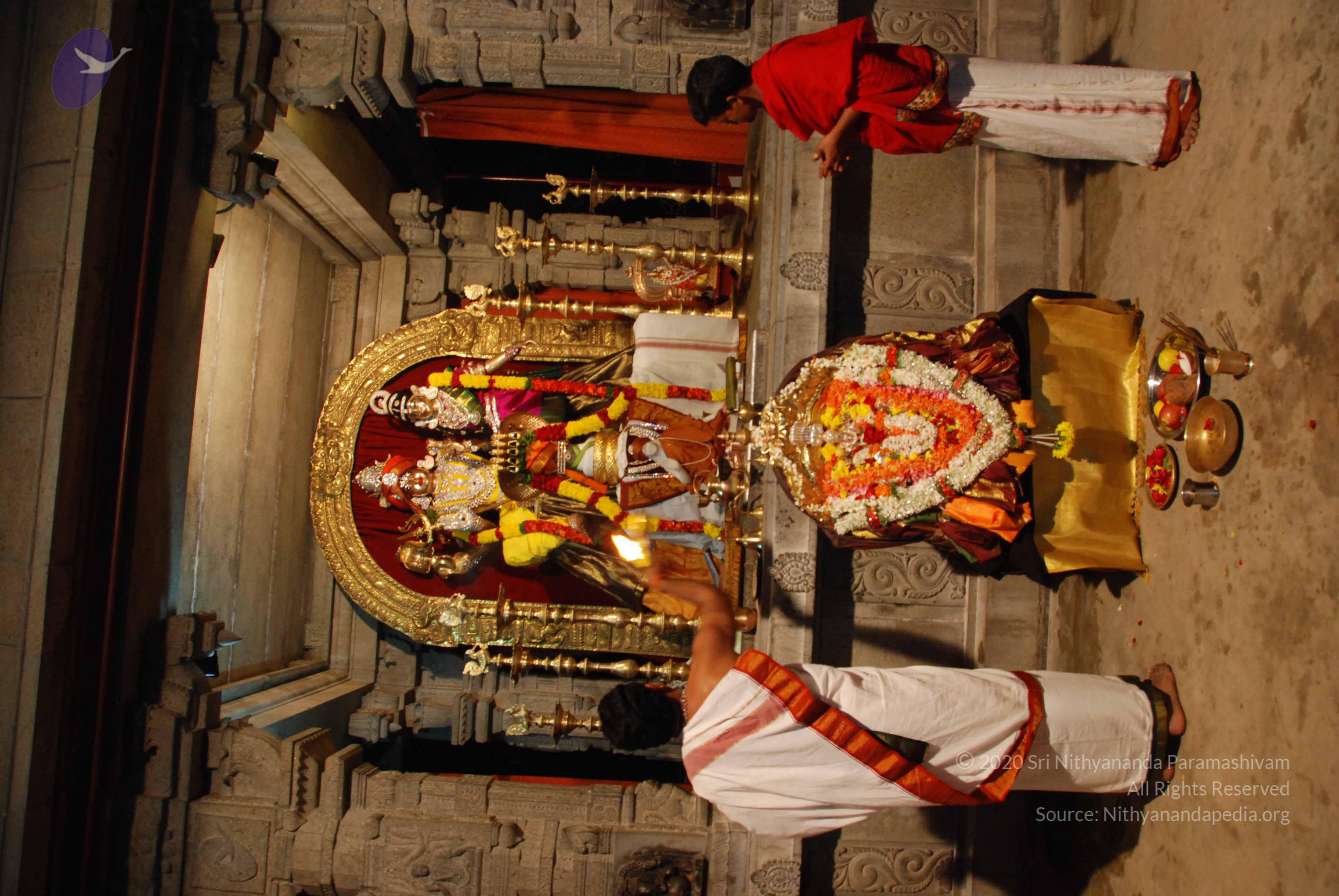 20170720_Photo_1070_DSC_4495_CMP_WM