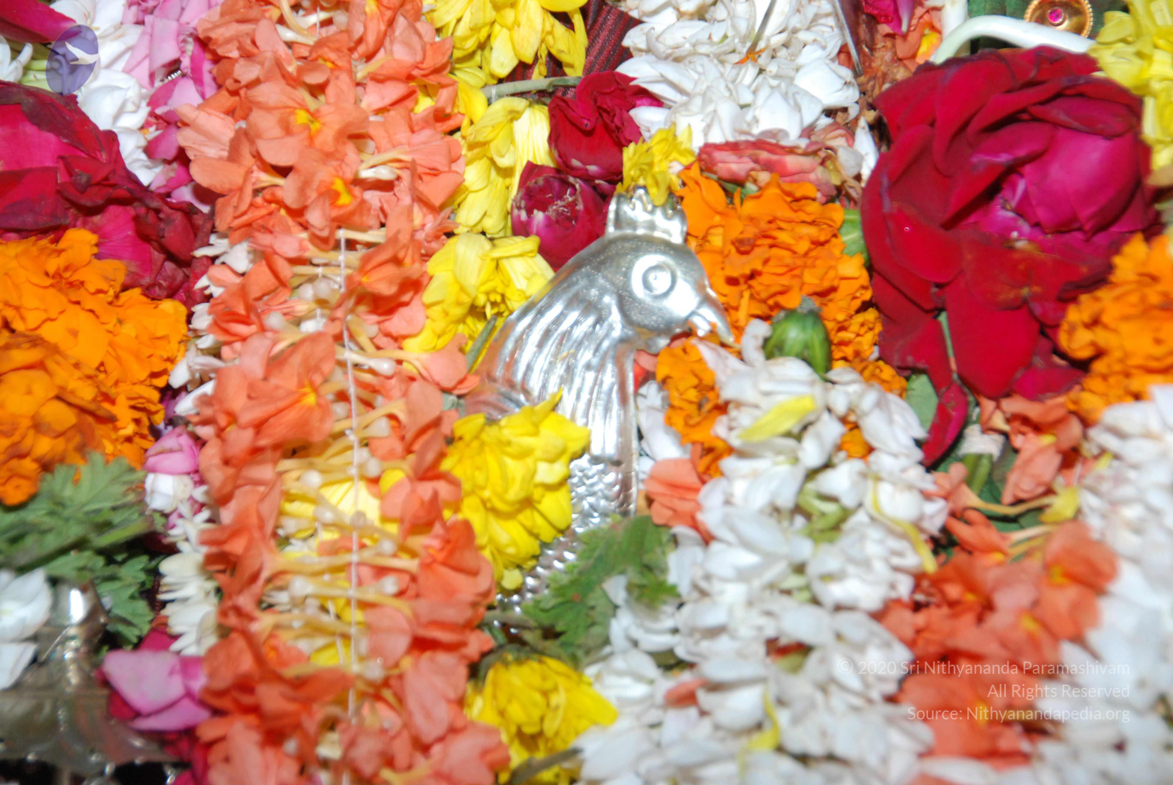 20170720_Photo_1073_DSC_4606_CMP_WM