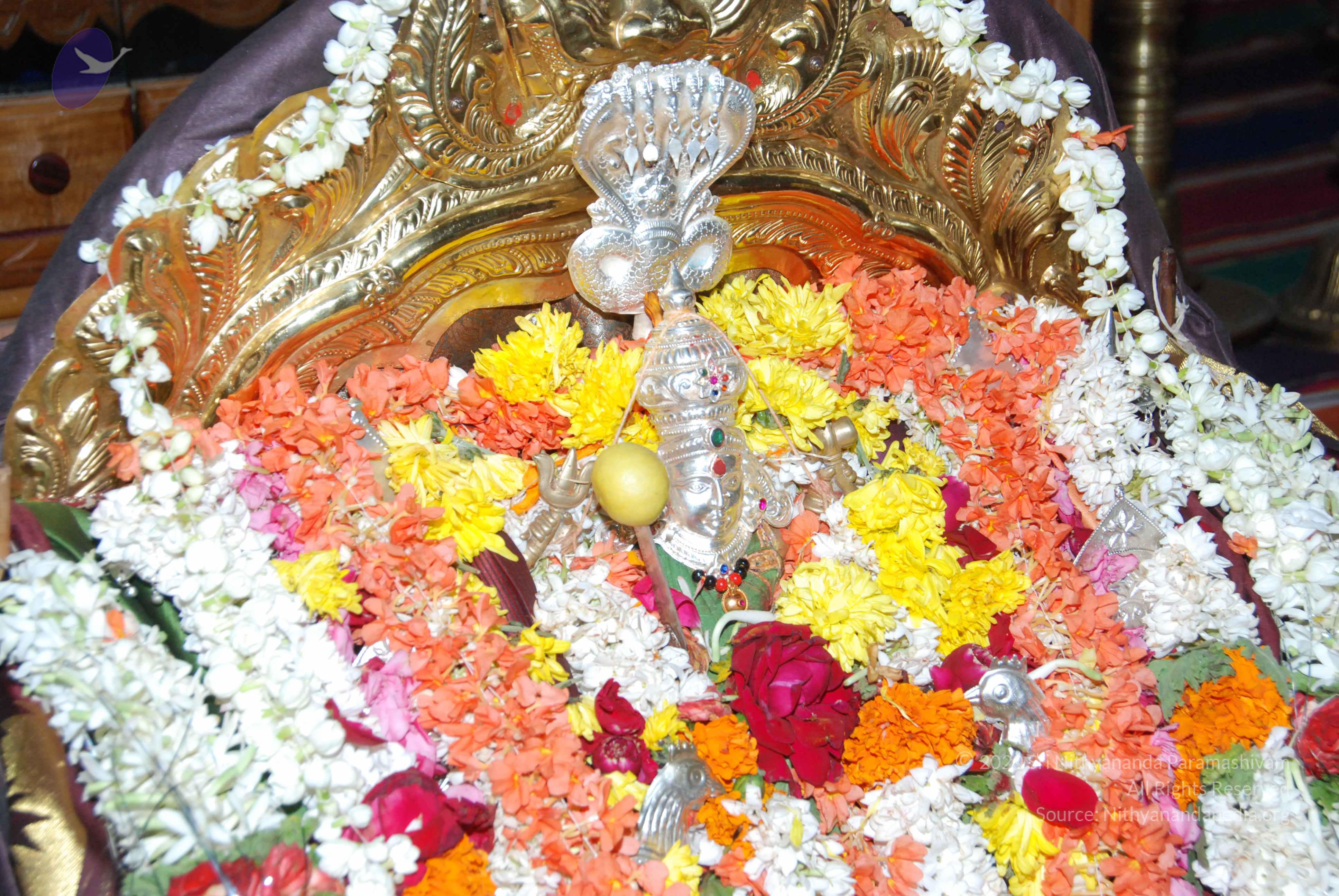 20170720_Photo_1076_DSC_4590_CMP_WM