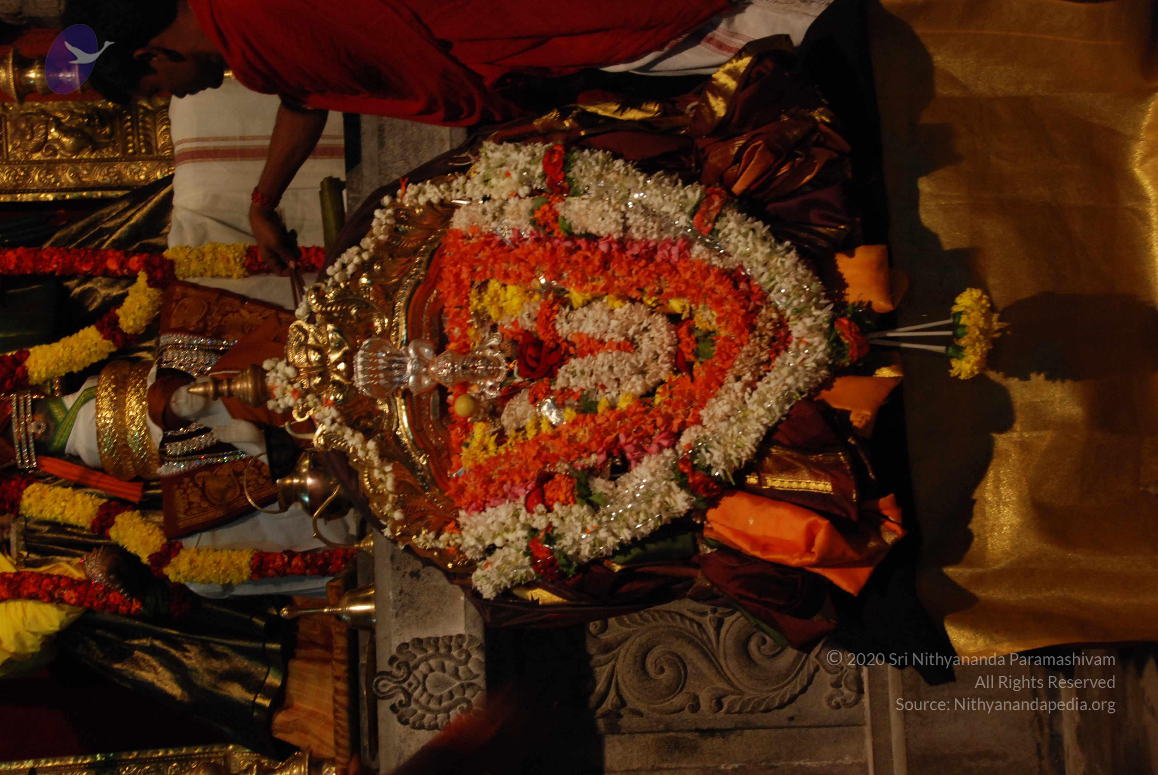 20170720_Photo_1077_DSC_4450_CMP_WM