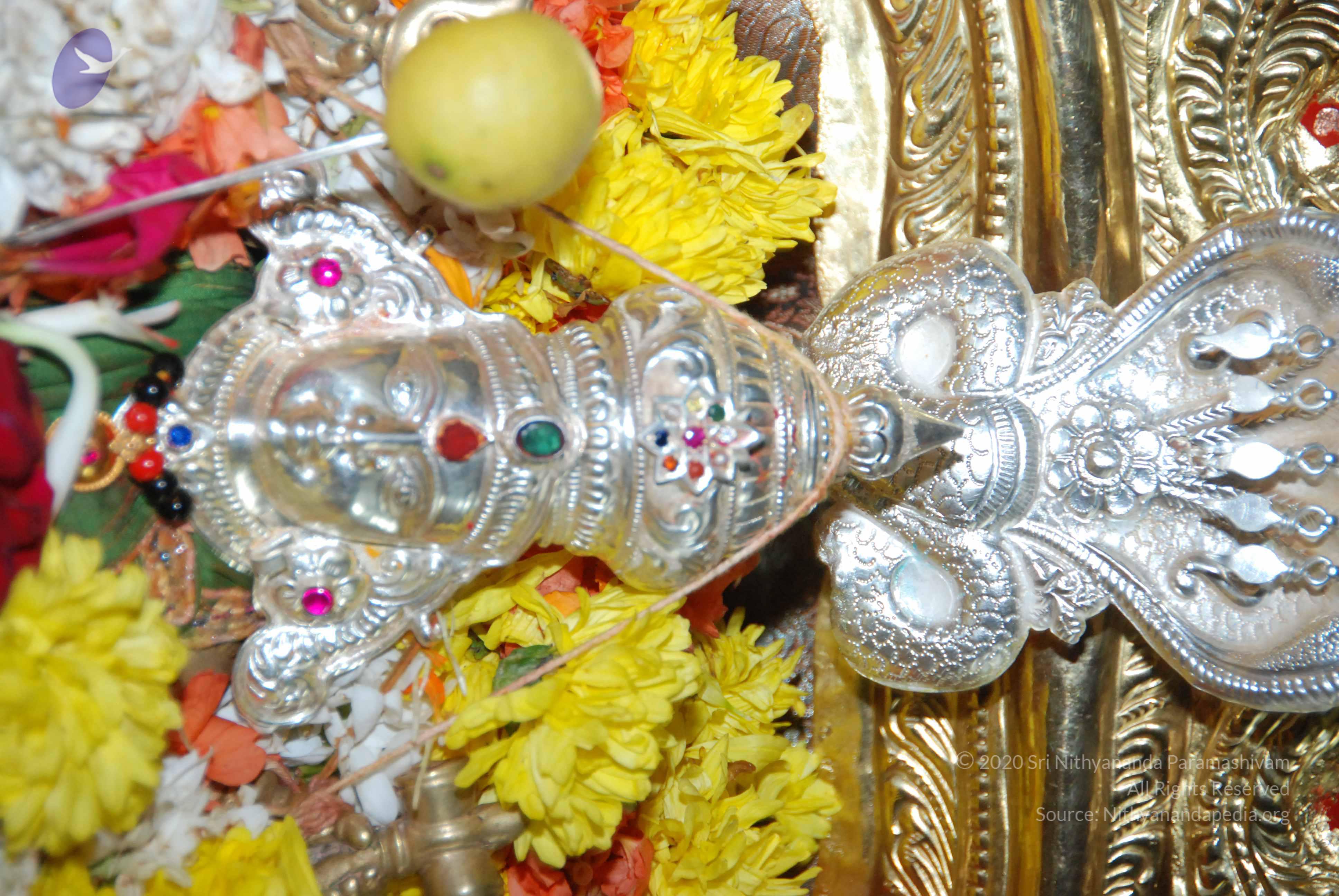 20170720_Photo_1078_DSC_4573_CMP_WM