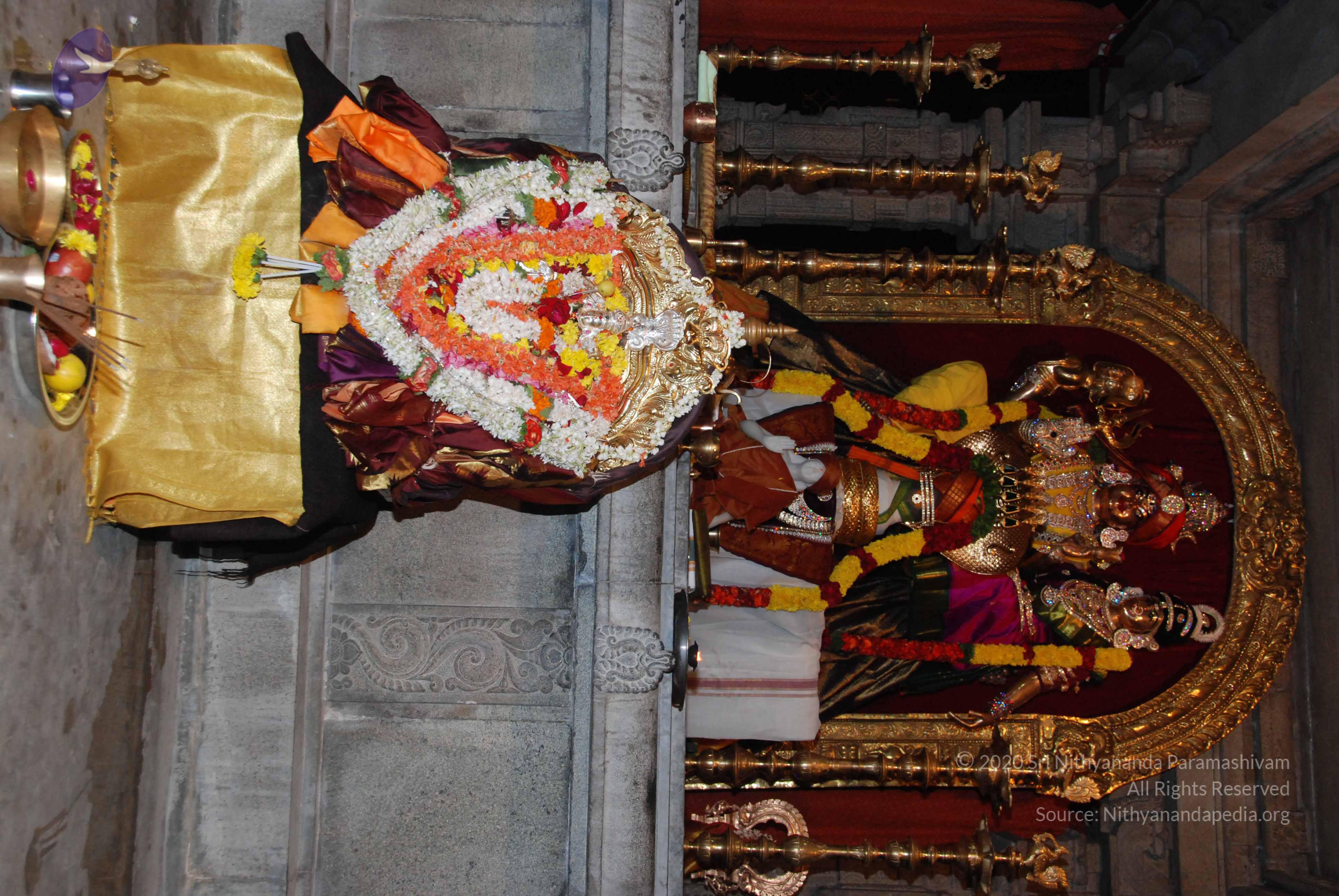 20170720_Photo_1082_DSC_4526_CMP_WM