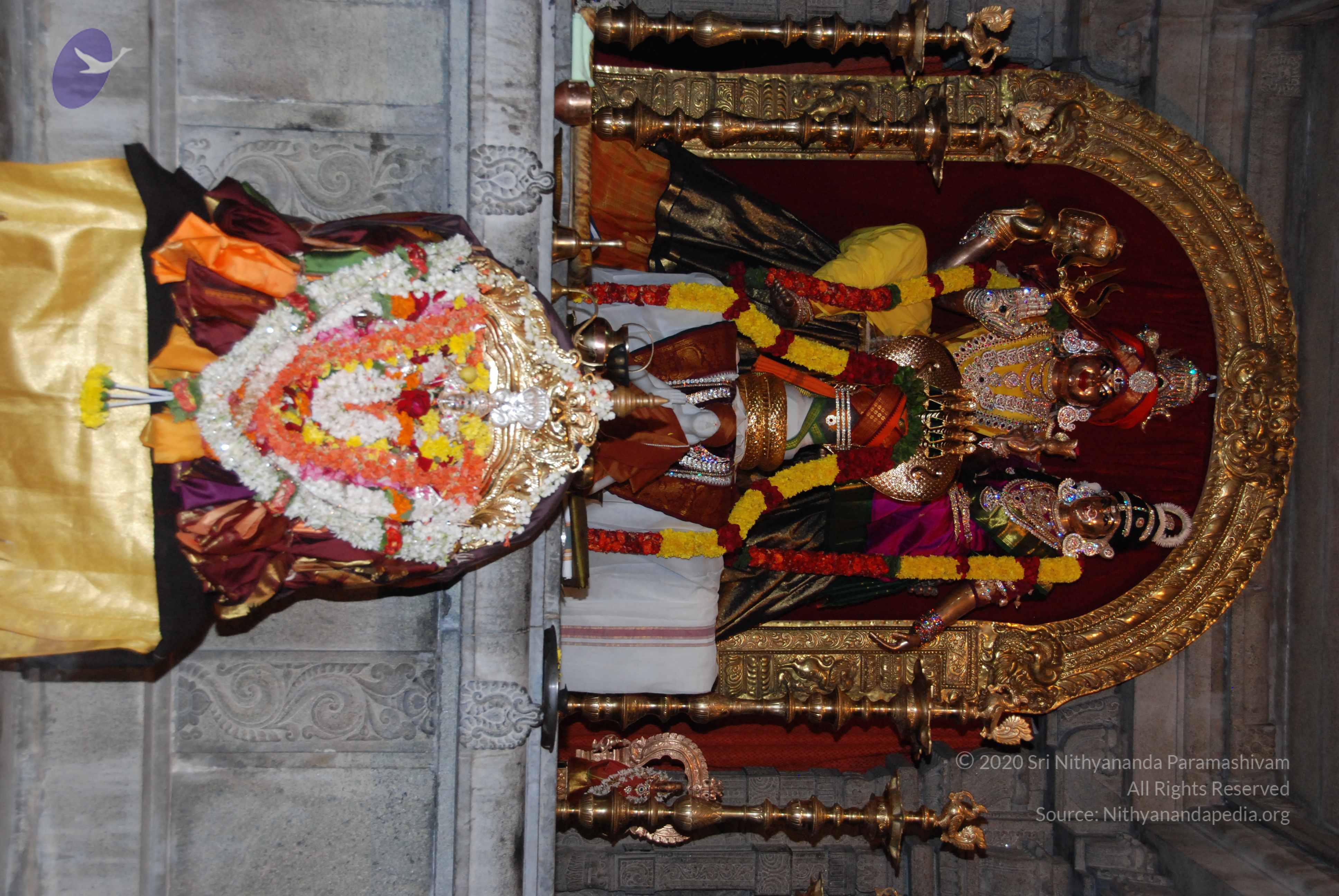 20170720_Photo_1087_DSC_4534_CMP_WM