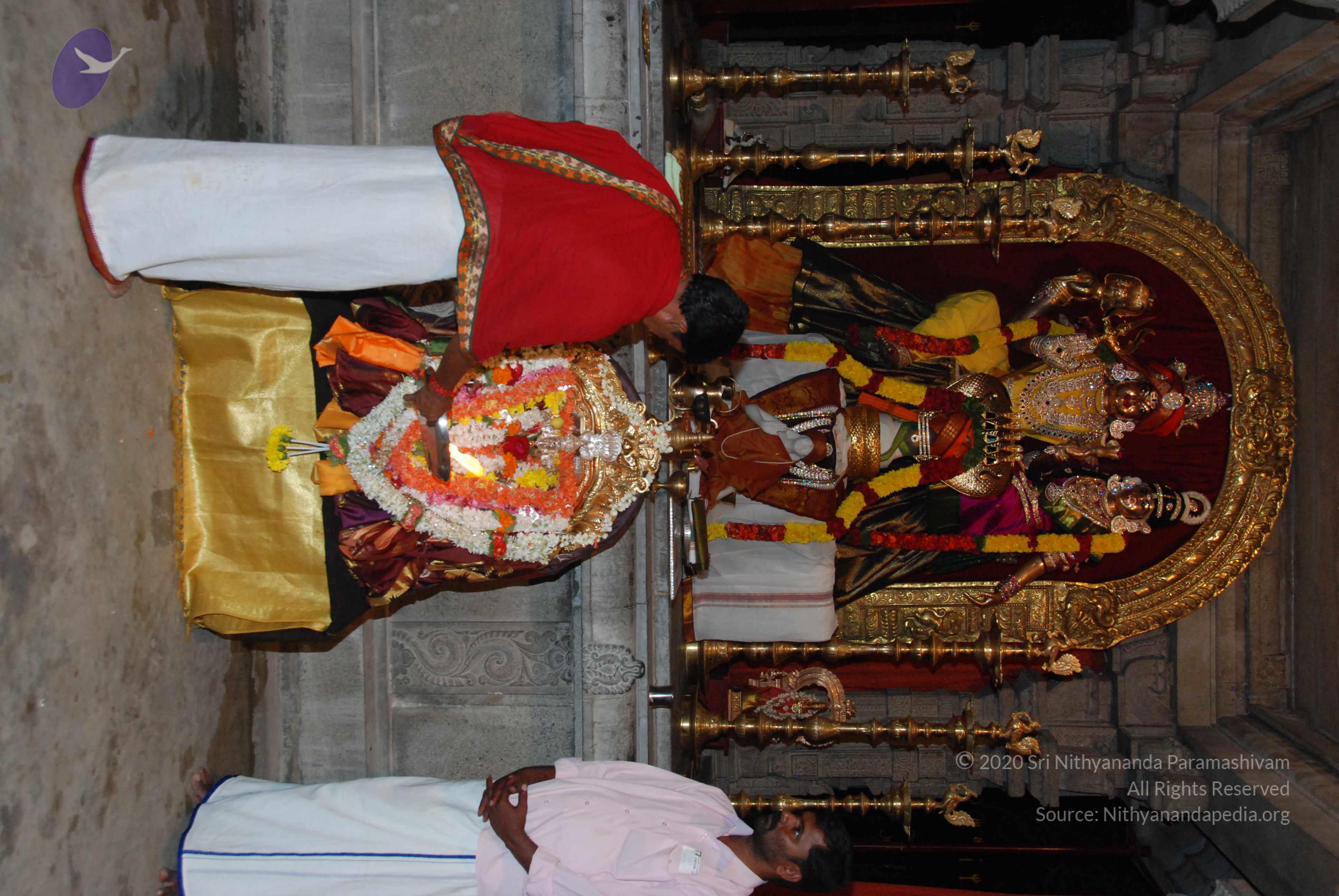 20170720_Photo_1089_DSC_4420_CMP_WM