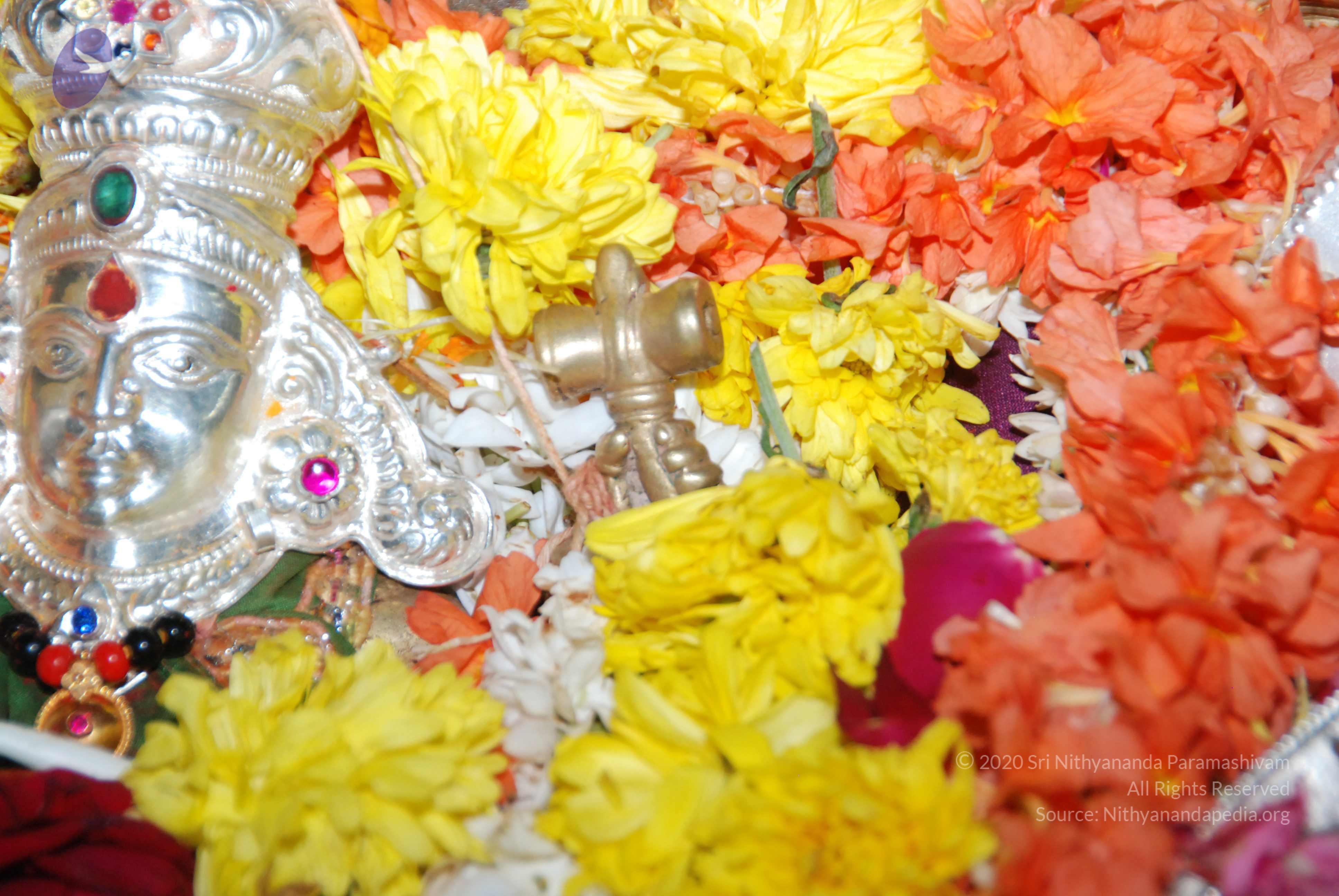 20170720_Photo_1090_DSC_4608_CMP_WM