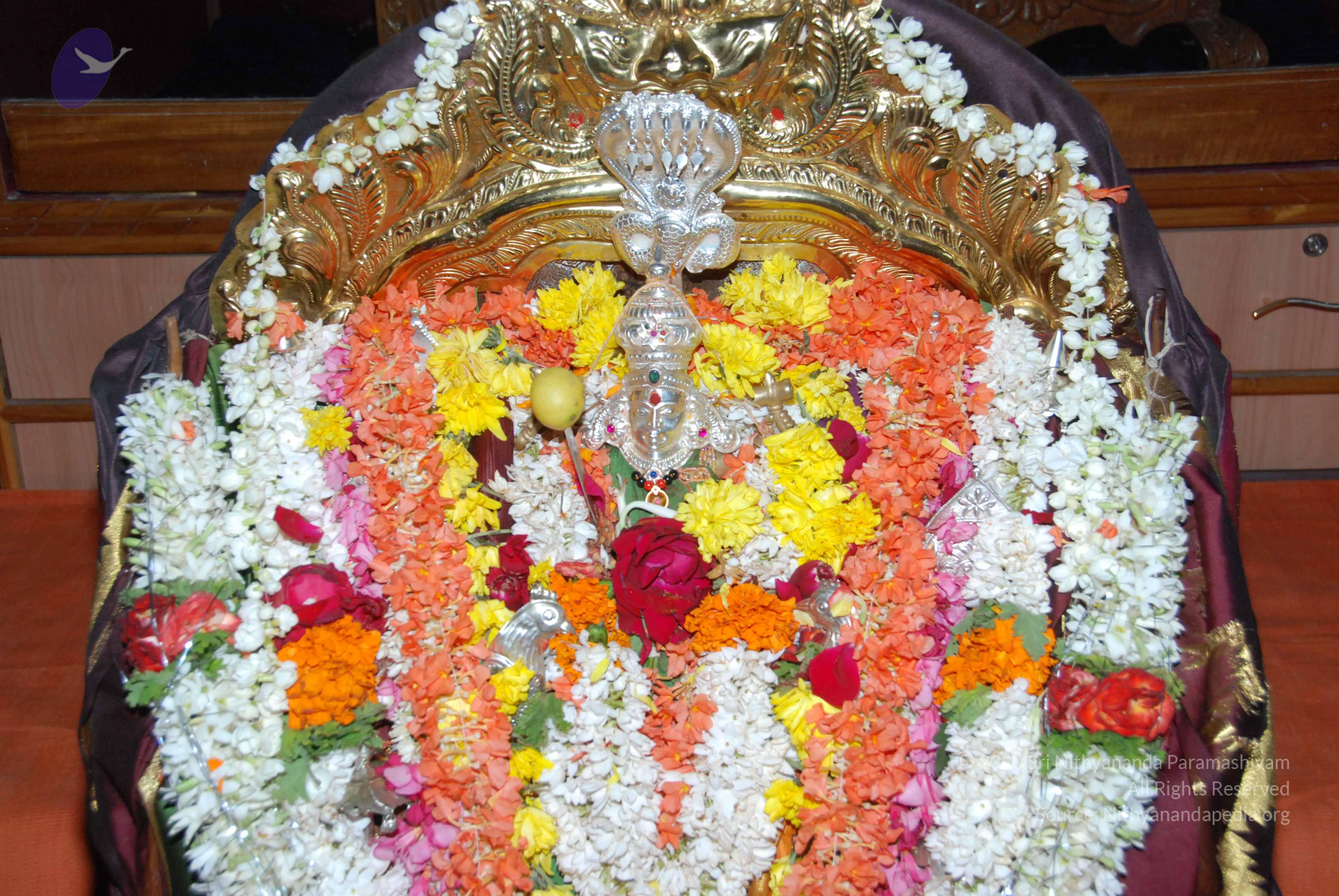 20170720_Photo_1093_DSC_4570_CMP_WM