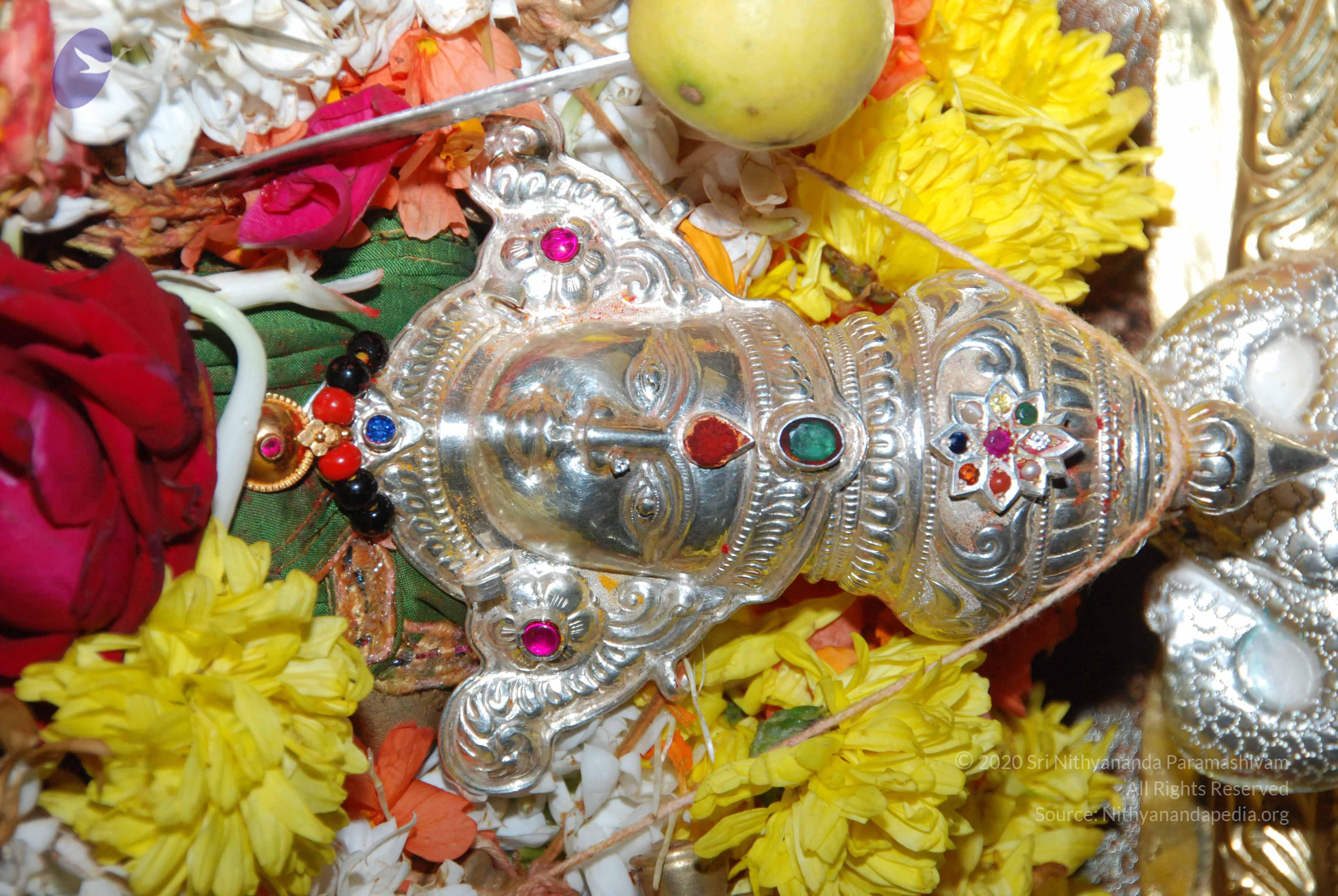 20170720_Photo_1099_DSC_4593_CMP_WM