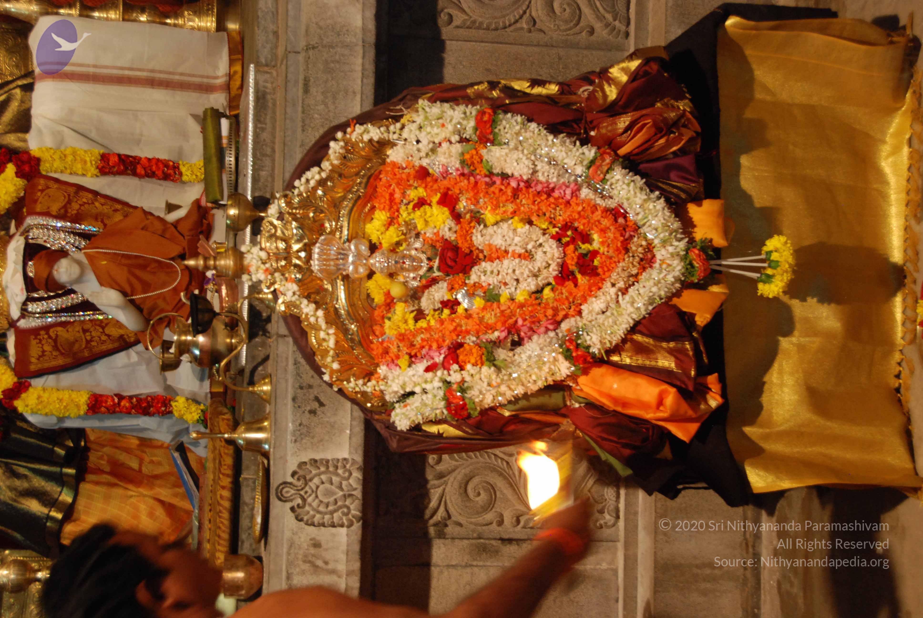 20170720_Photo_1100_DSC_4478_CMP_WM