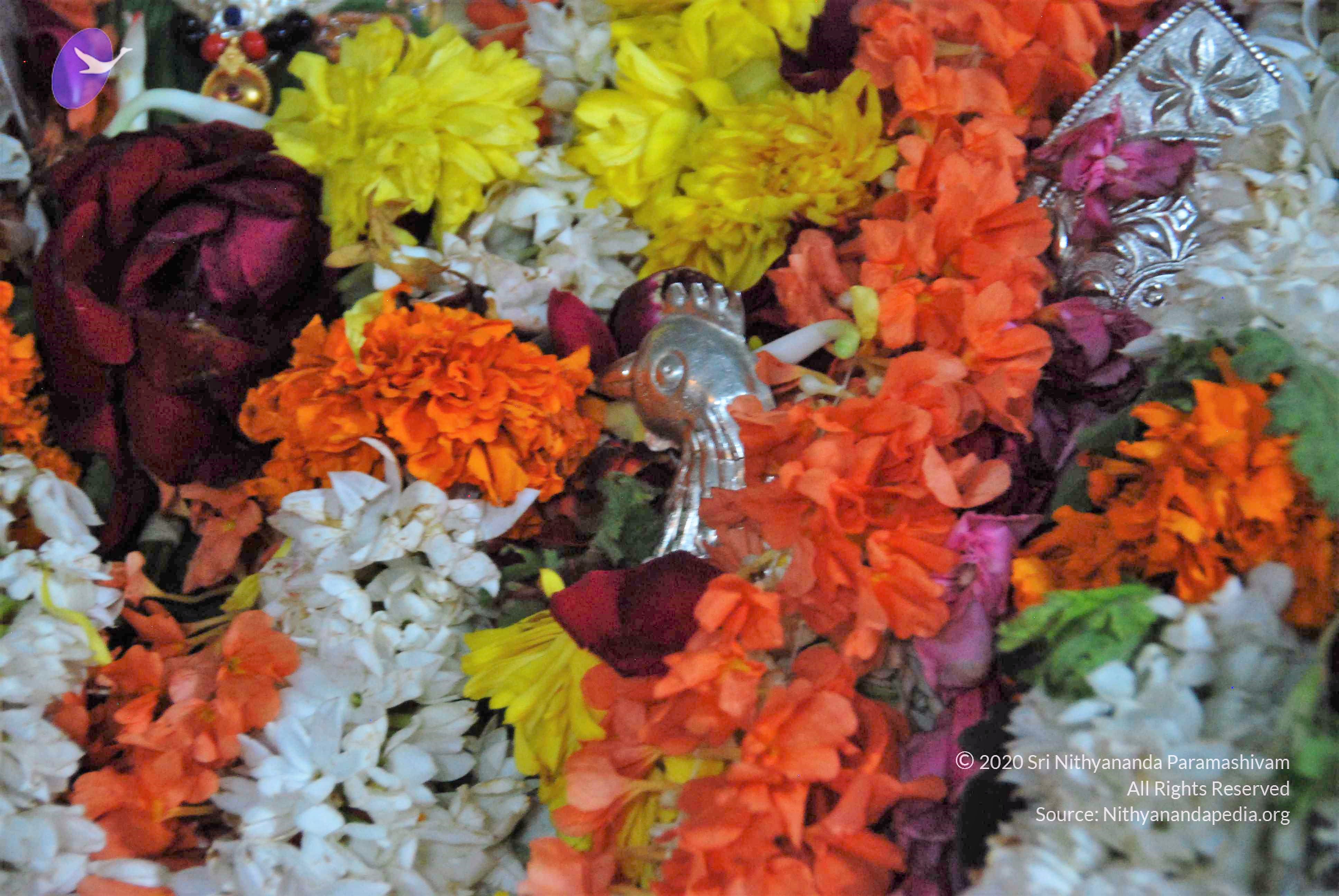 20170720_Photo_1101_DSC_4605_CMP_WM