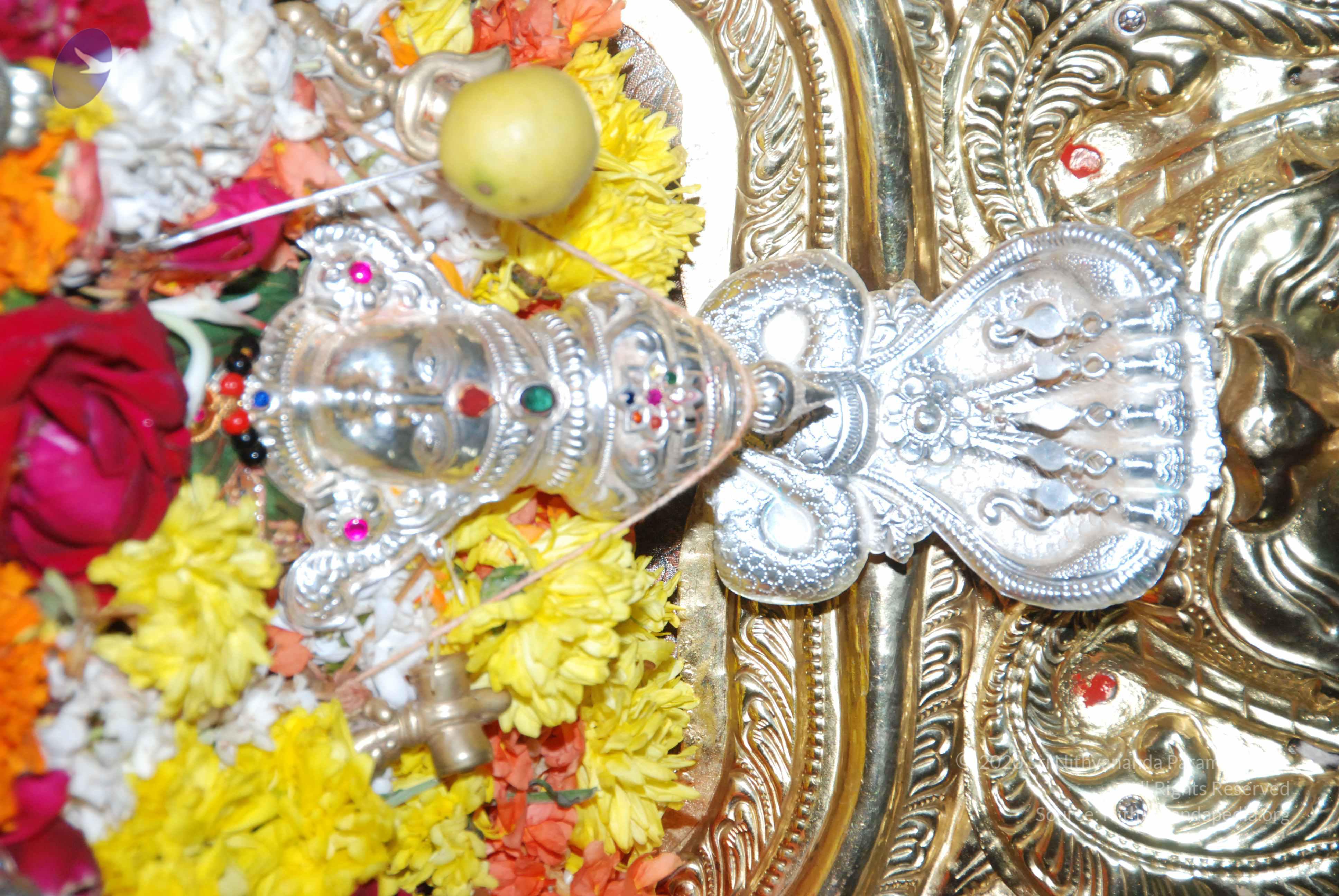 20170720_Photo_1102_DSC_4575_CMP_WM