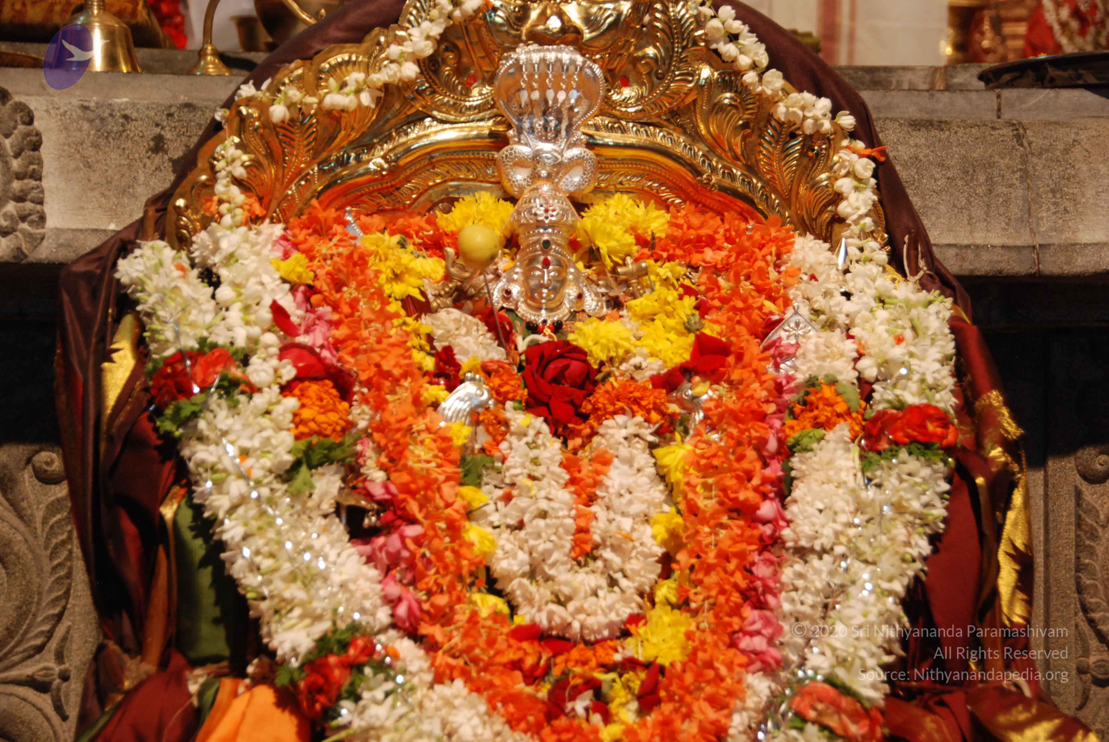 20170720_Photo_1103_DSC_4542_CMP_WM