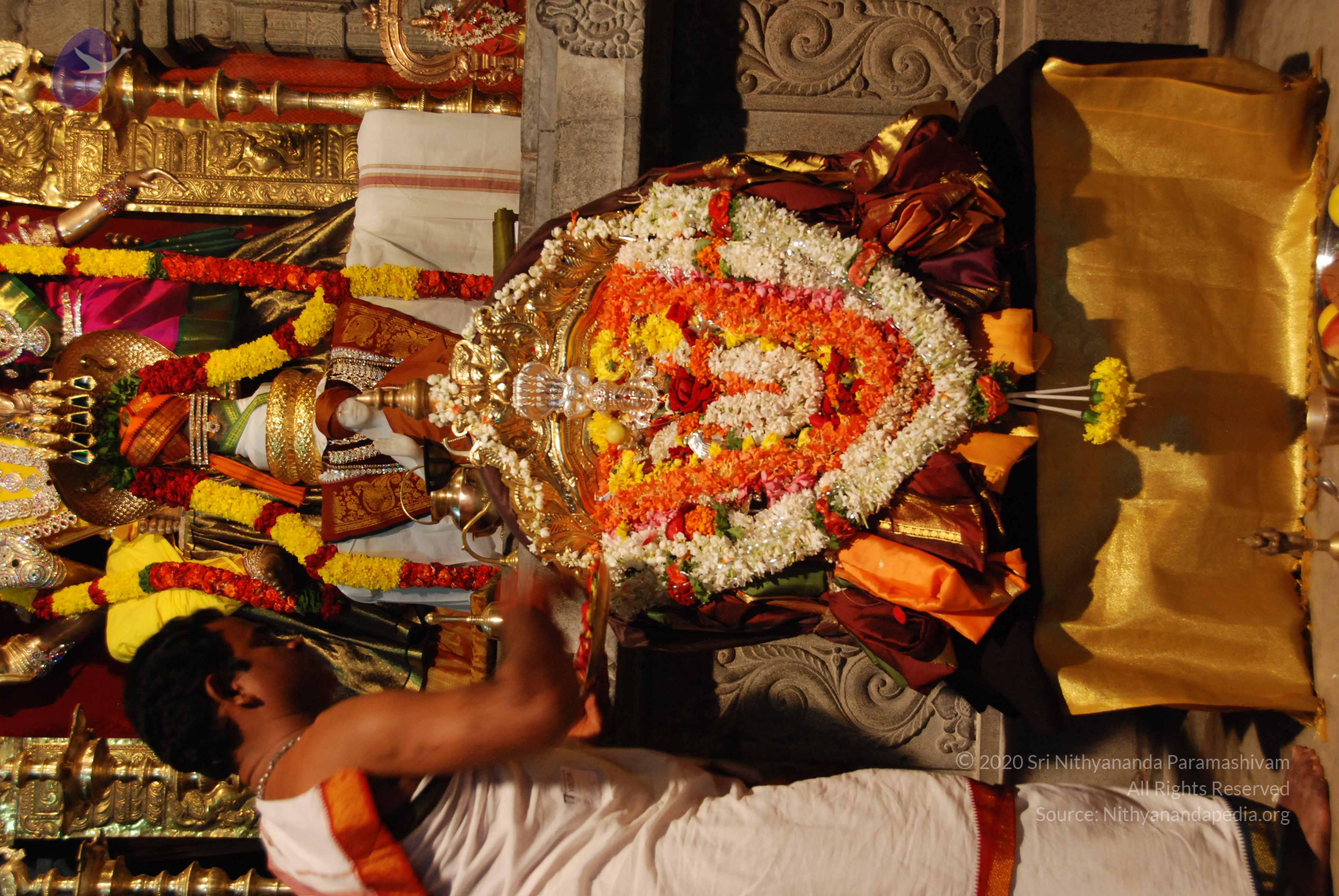 20170720_Photo_1104_DSC_4461_CMP_WM