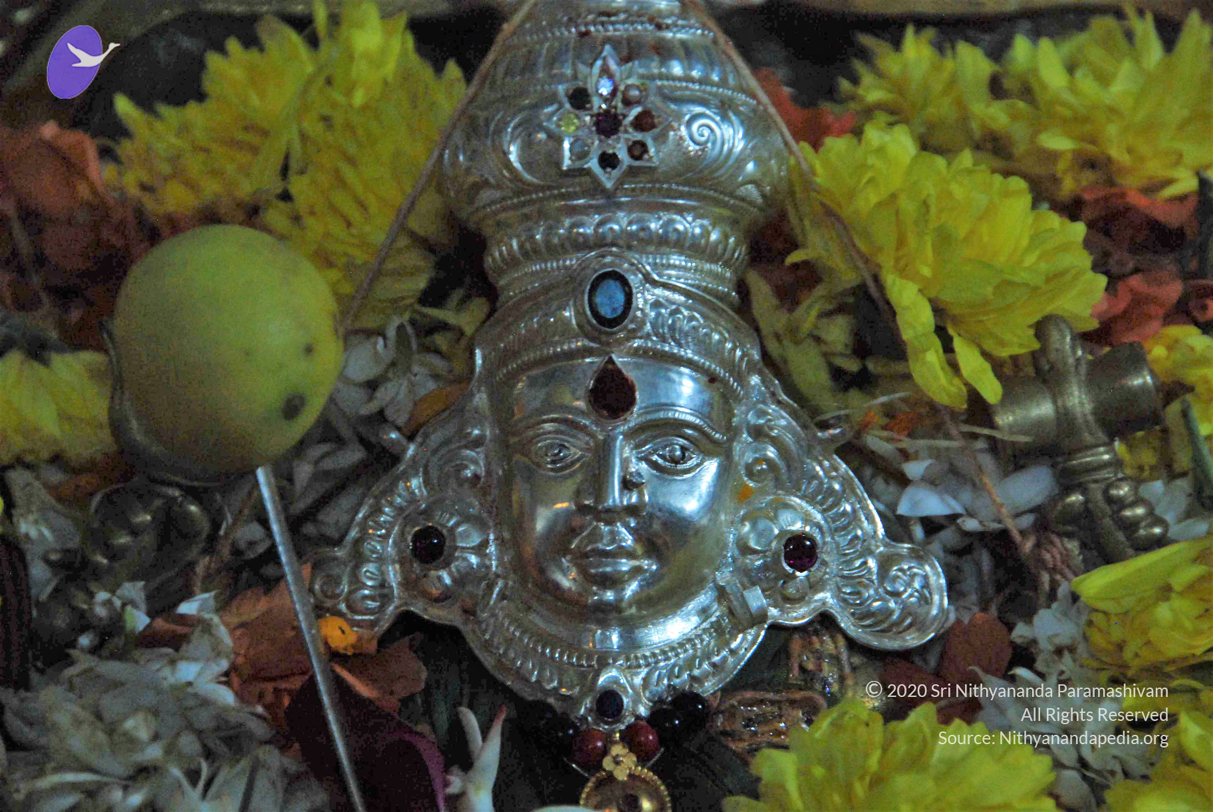 20170720_Photo_1111_DSC_4596_CMP_WM