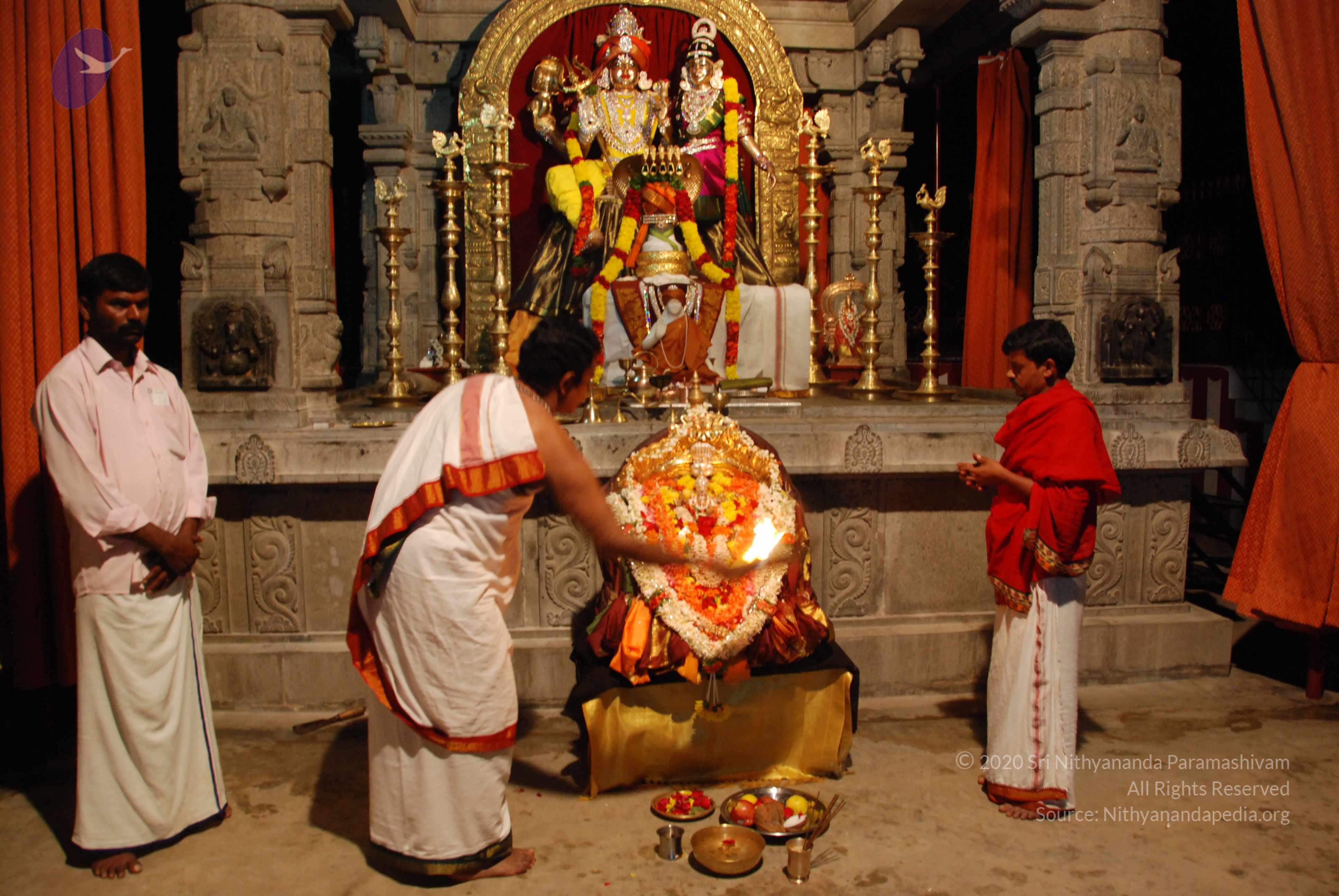 20170720_Photo_1112_DSC_4493_CMP_WM