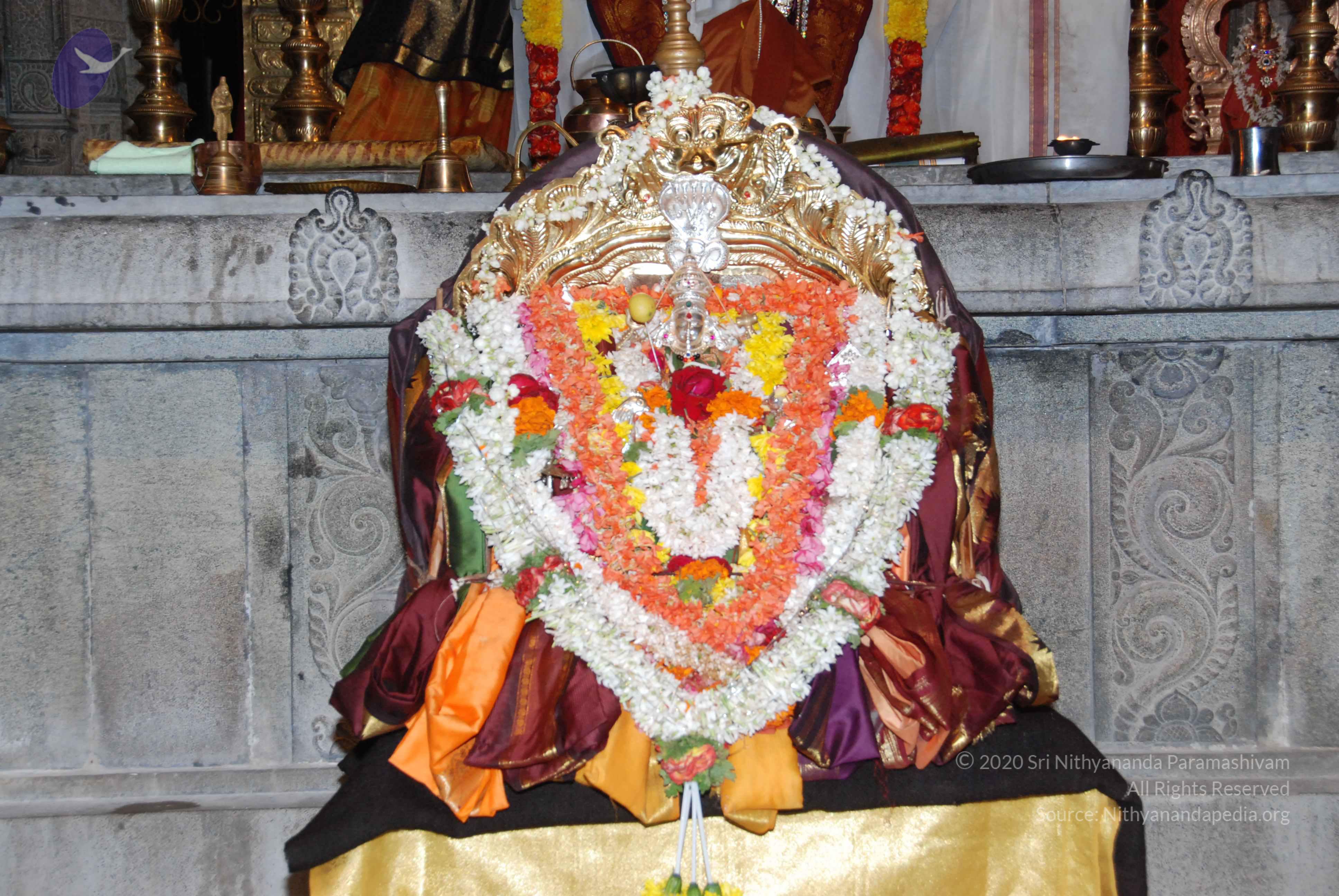 20170720_Photo_1115_DSC_4439_CMP_WM