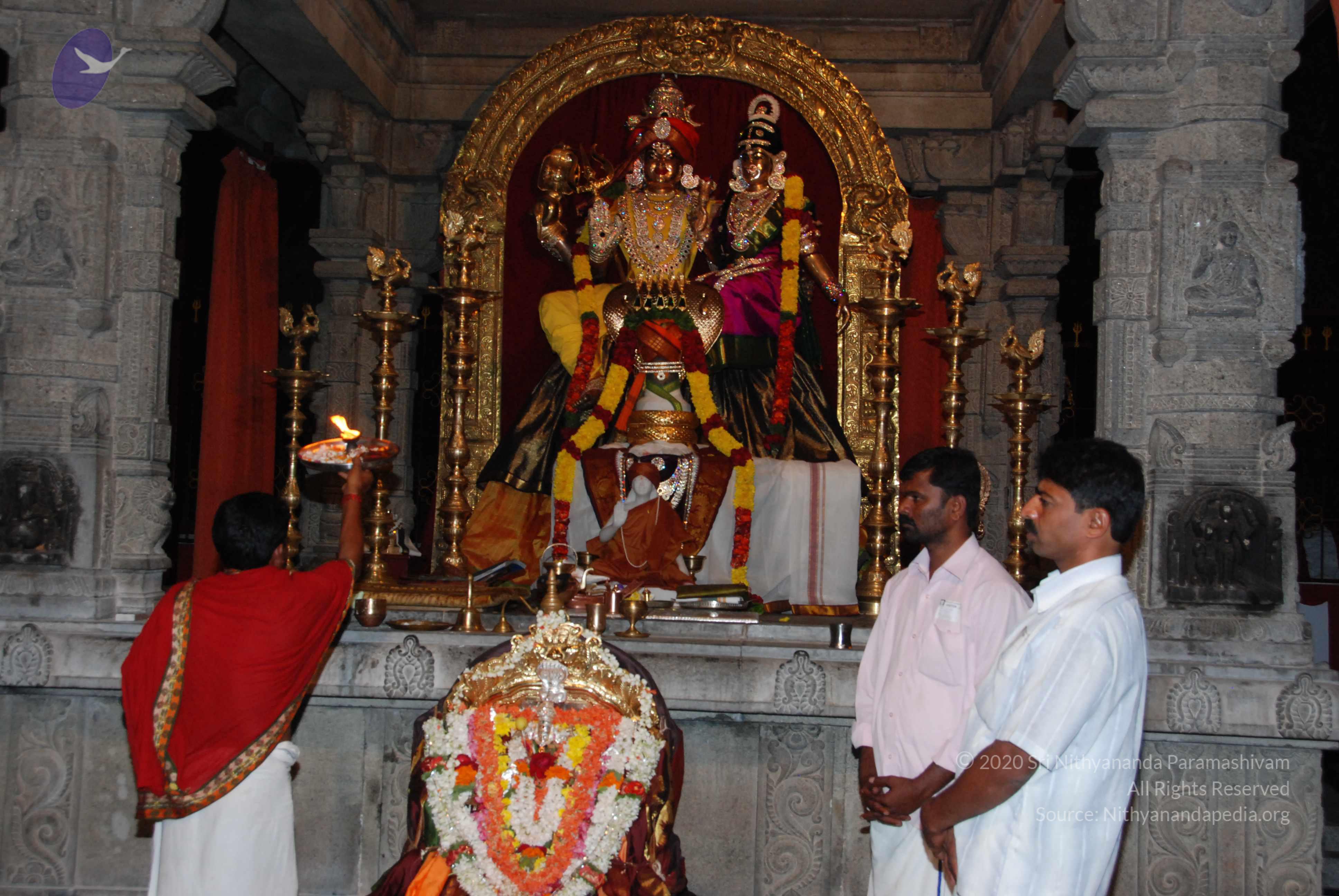 20170720_Photo_1117_DSC_4425_CMP_WM