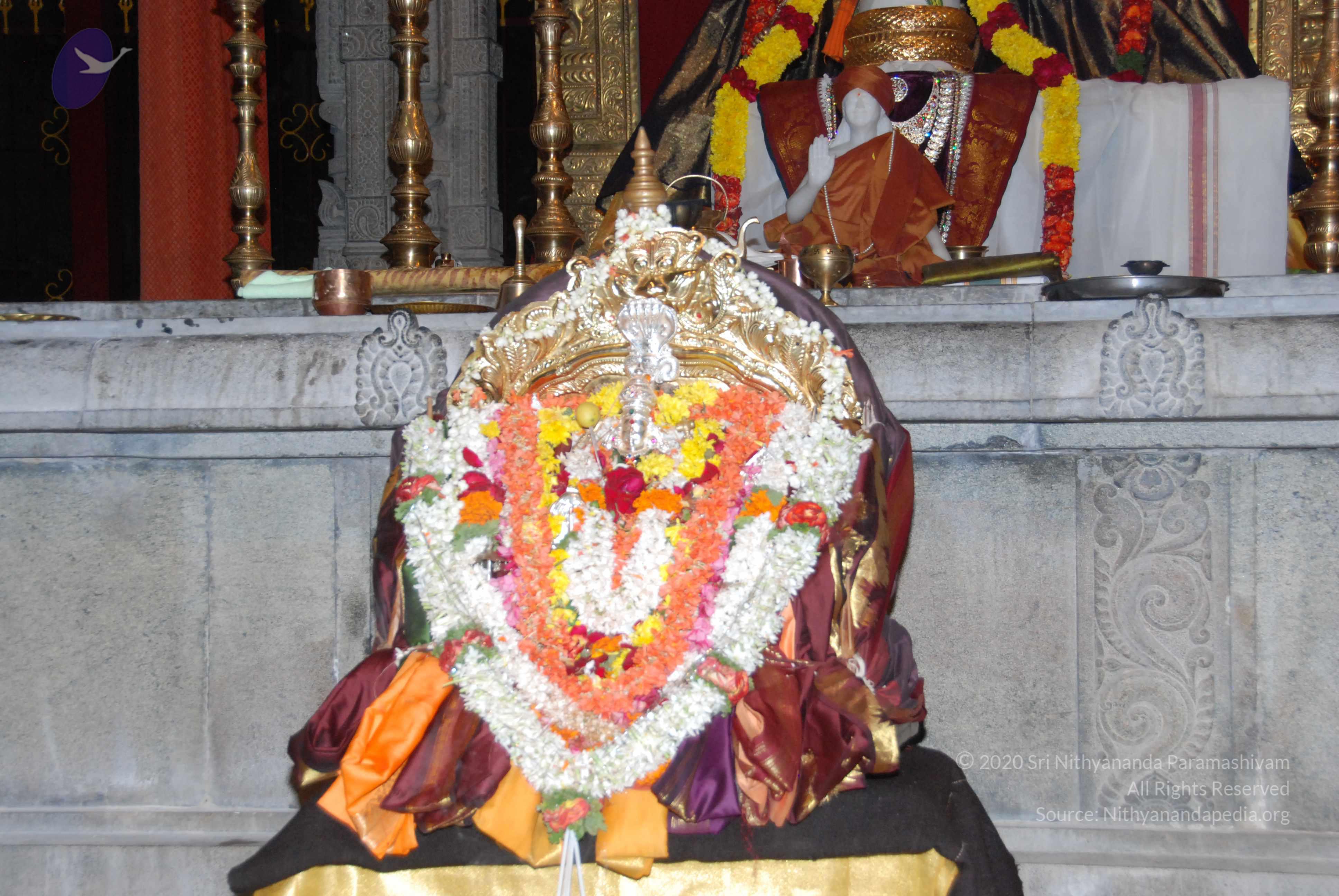 20170720_Photo_1119_DSC_4531_CMP_WM