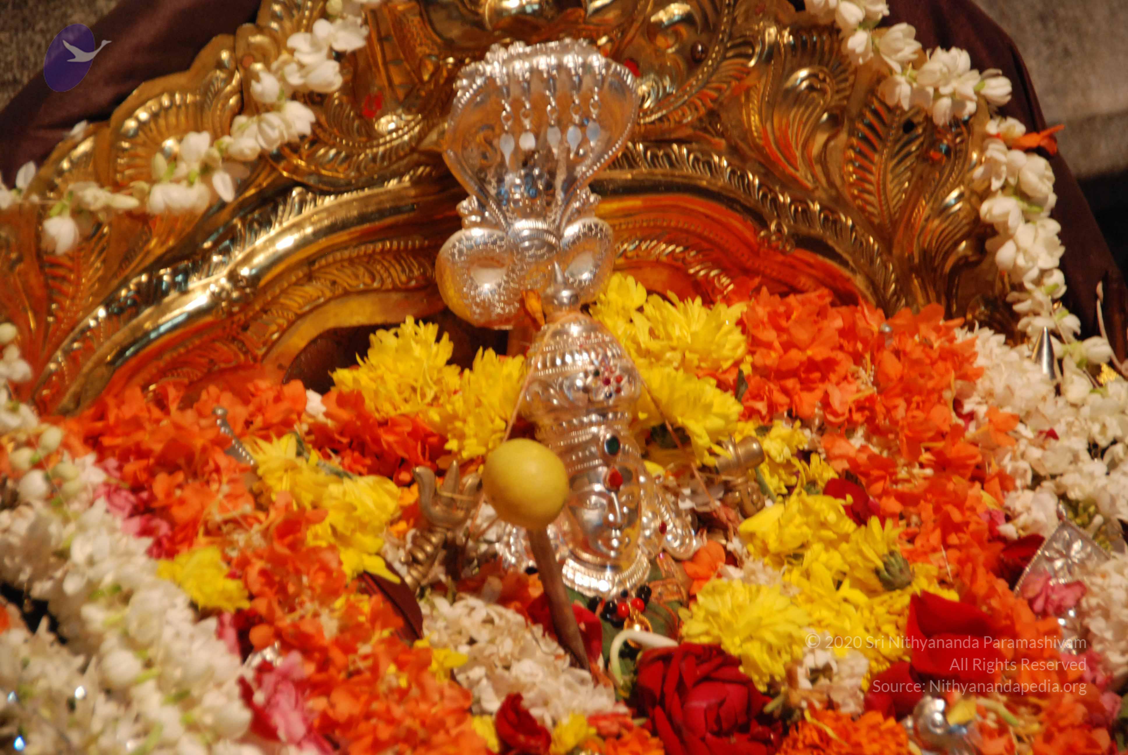 20170720_Photo_1122_DSC_4553_CMP_WM