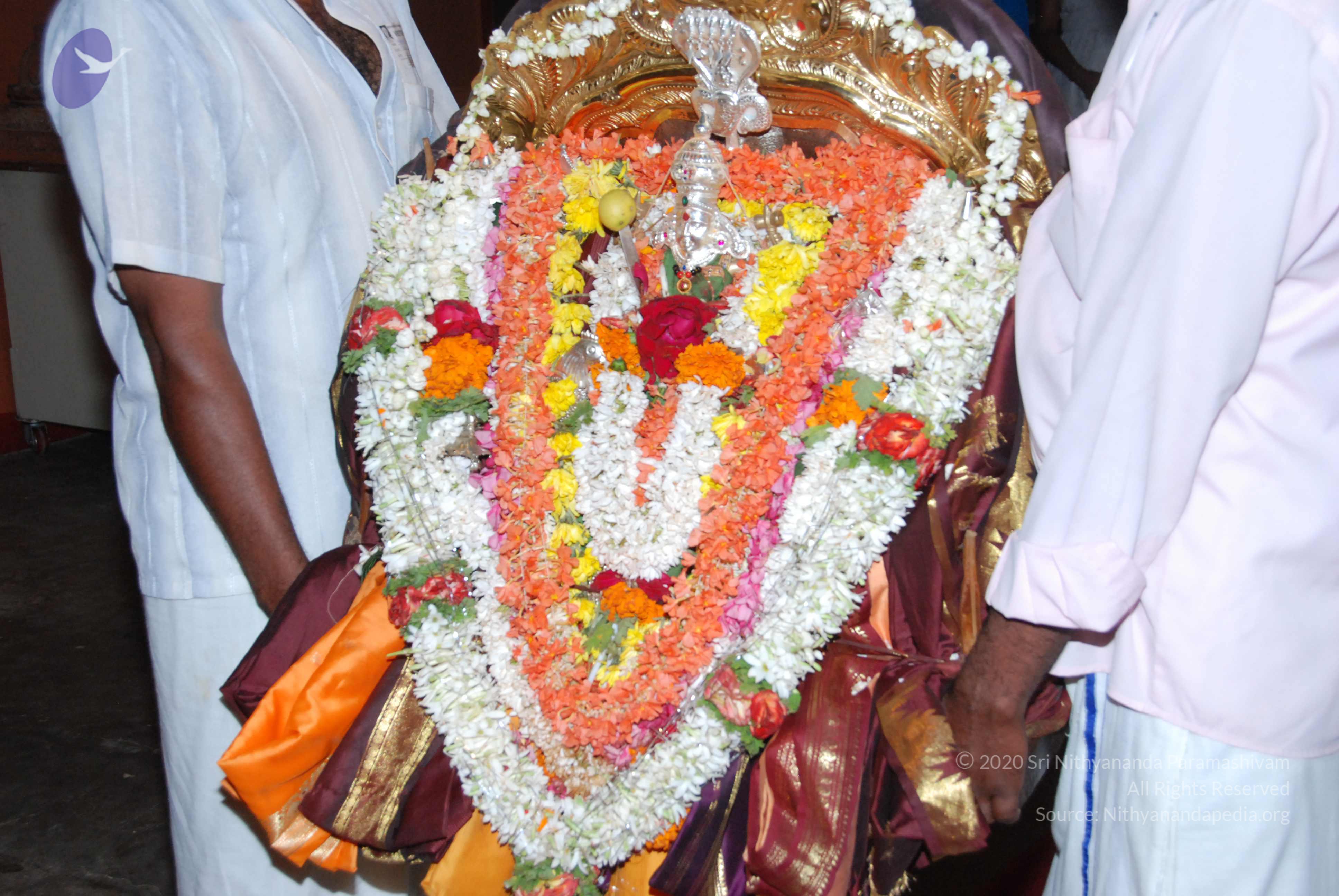 20170720_Photo_1128_DSC_4409_CMP_WM