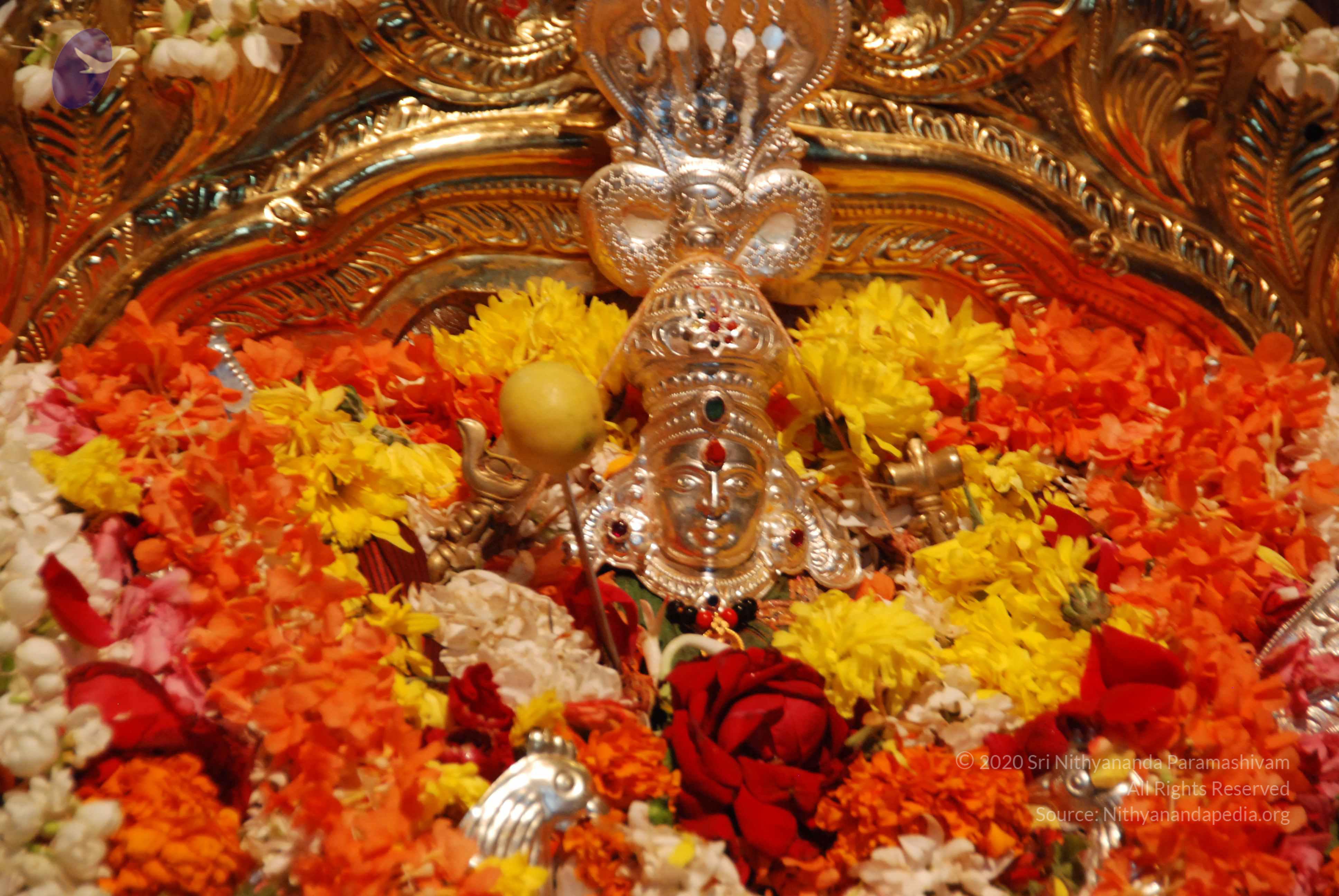 20170720_Photo_1129_DSC_4548_CMP_WM