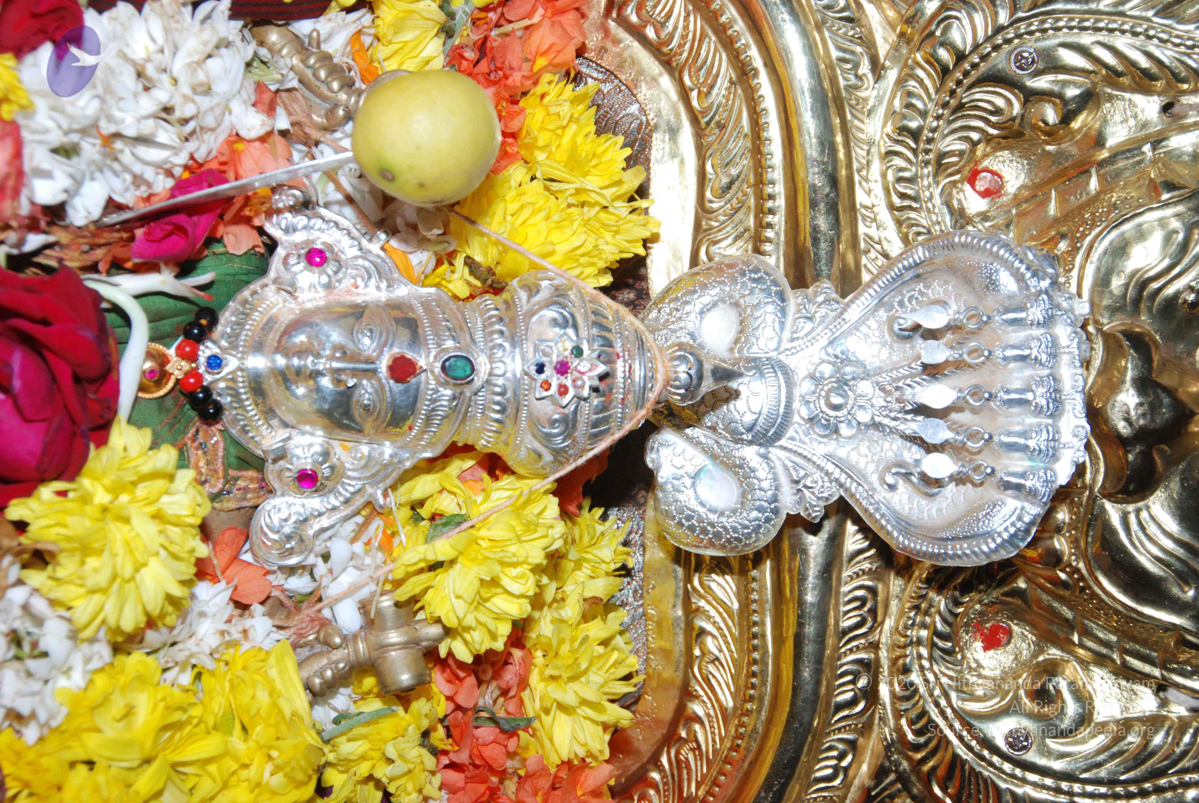 20170720_Photo_1134_DSC_4591_CMP_WM