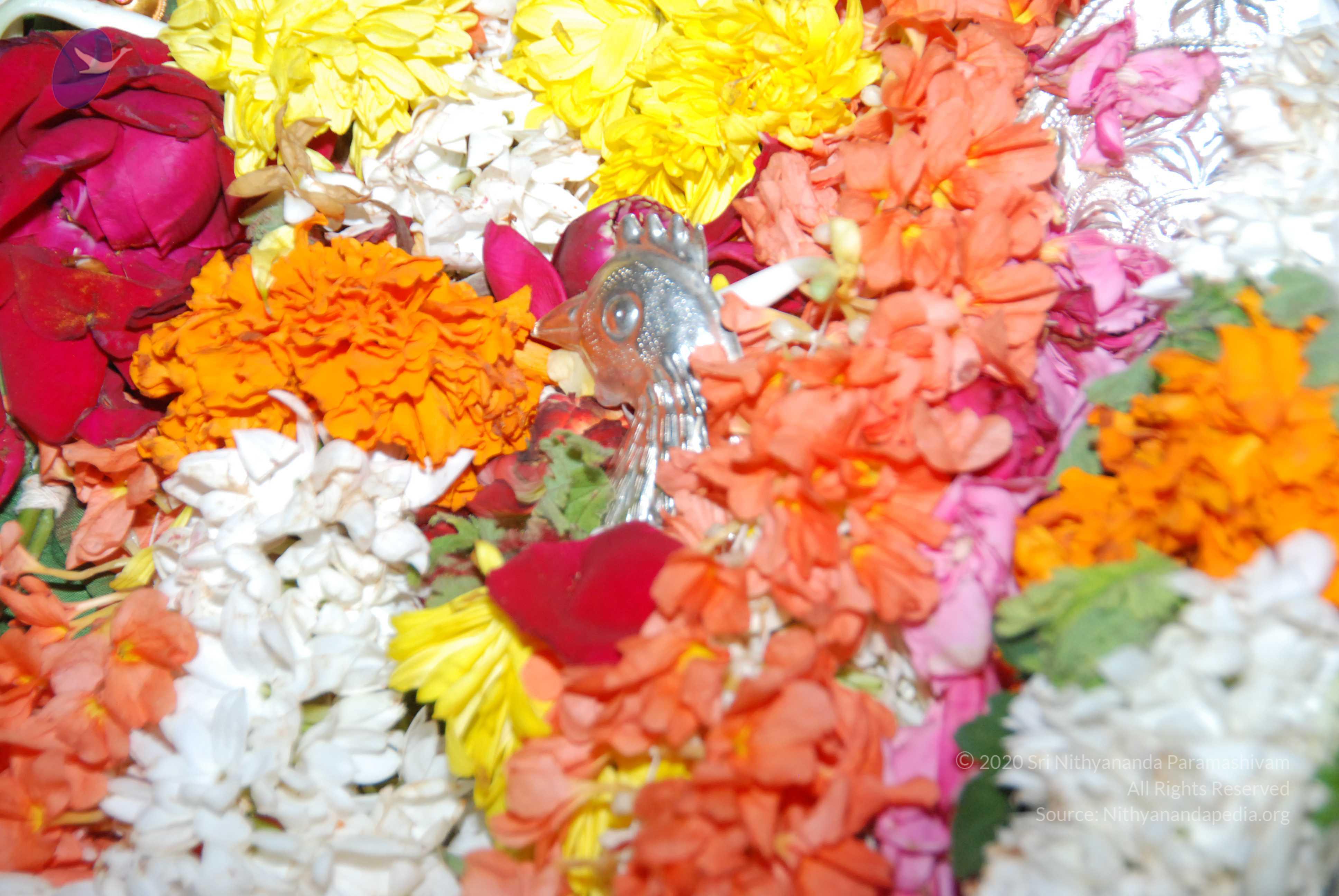 20170720_Photo_1135_DSC_4607_CMP_WM