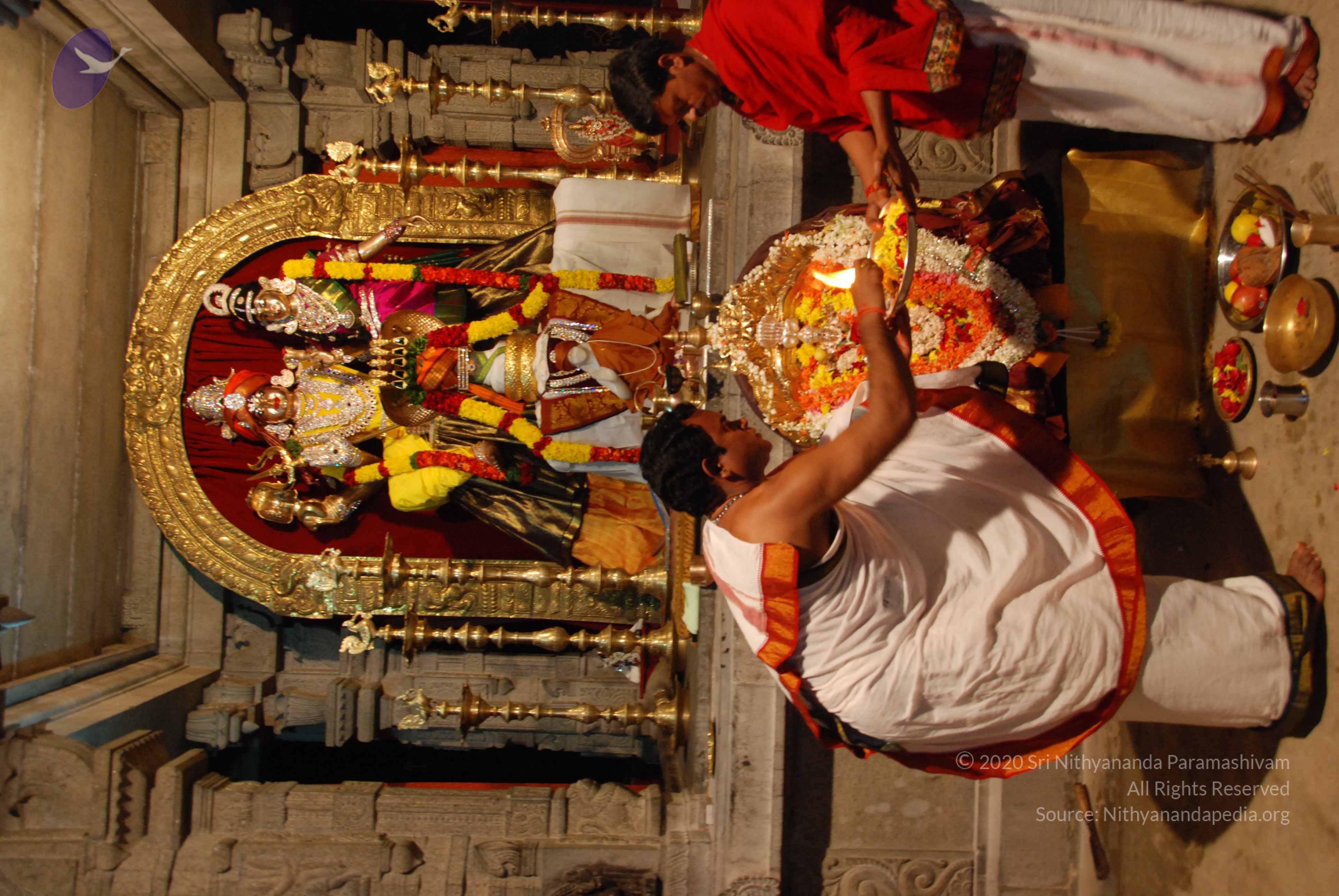 20170720_Photo_1138_DSC_4499_CMP_WM