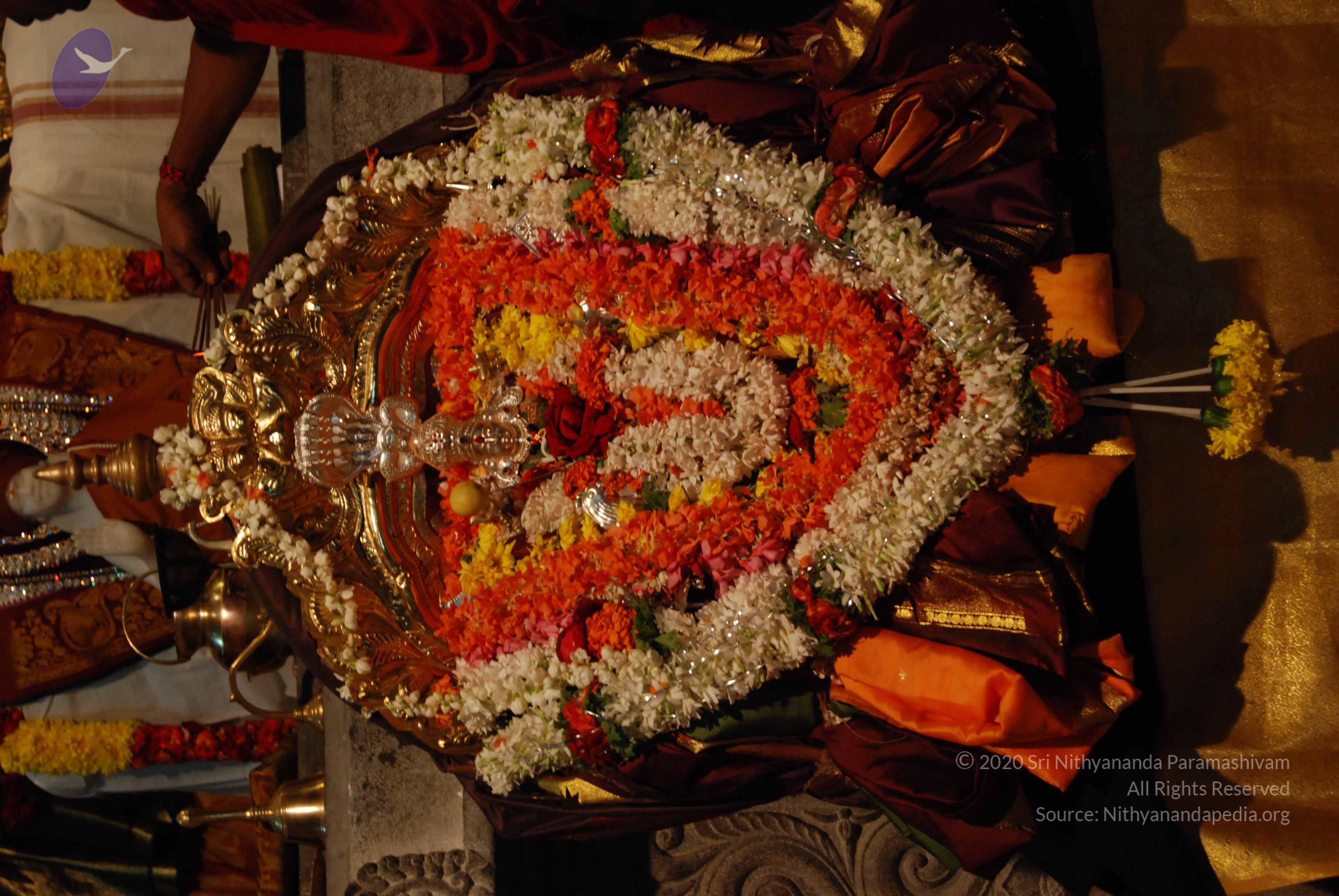 20170720_Photo_1139_DSC_4451_CMP_WM