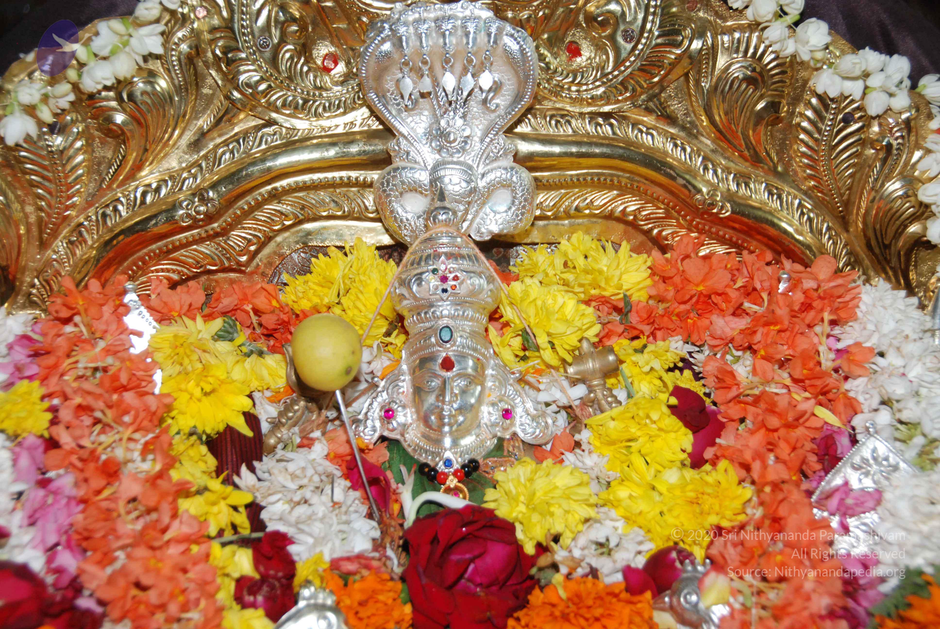 20170720_Photo_1140_DSC_4572_CMP_WM