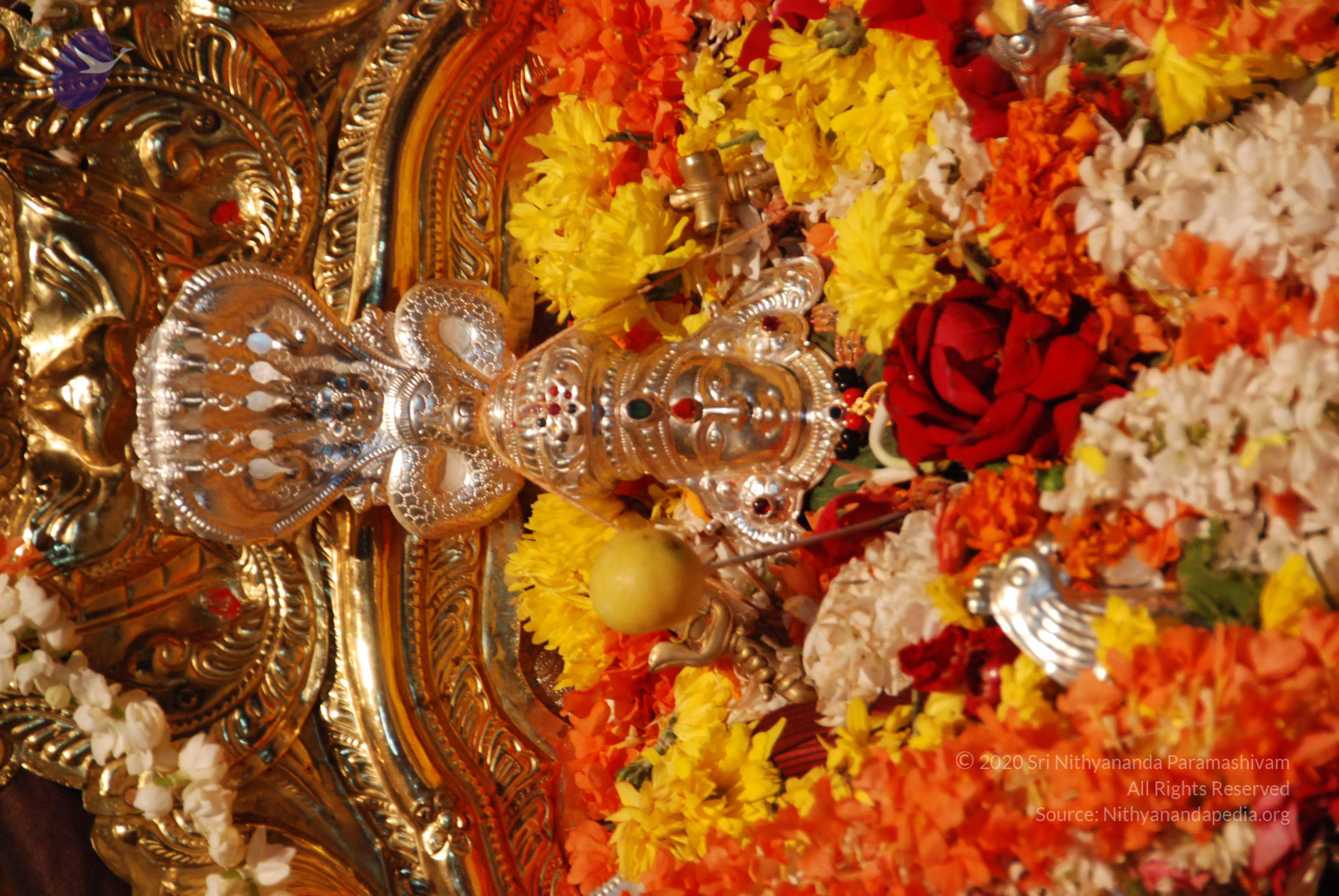 20170720_Photo_1141_DSC_4545_CMP_WM