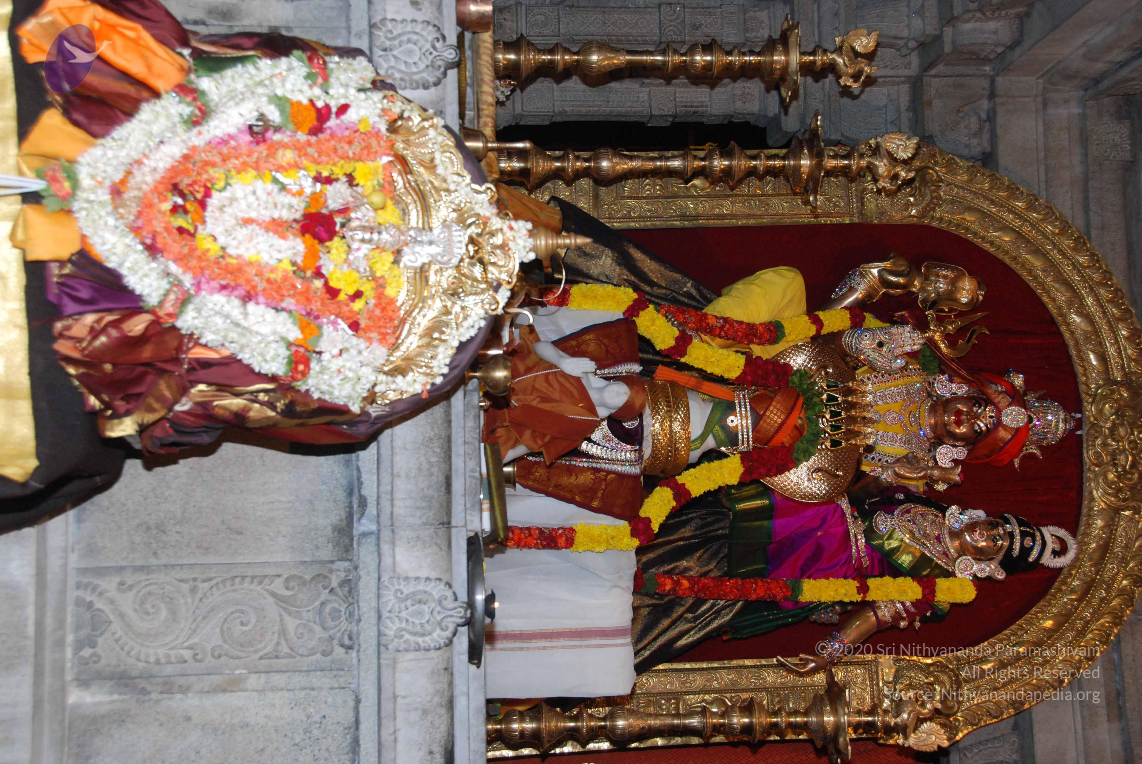 20170720_Photo_1145_DSC_4527_CMP_WM