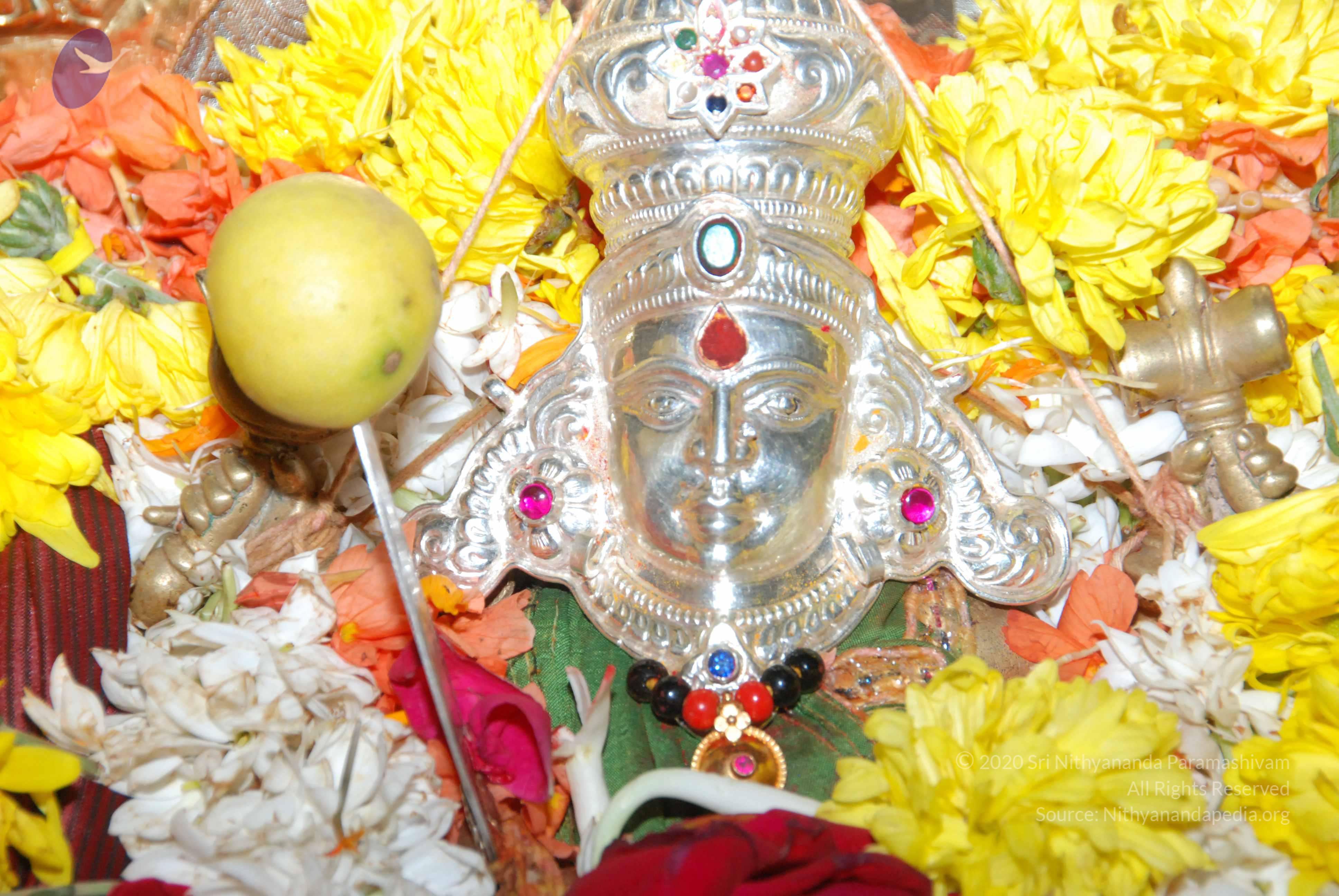 20170720_Photo_1147_DSC_4594_CMP_WM