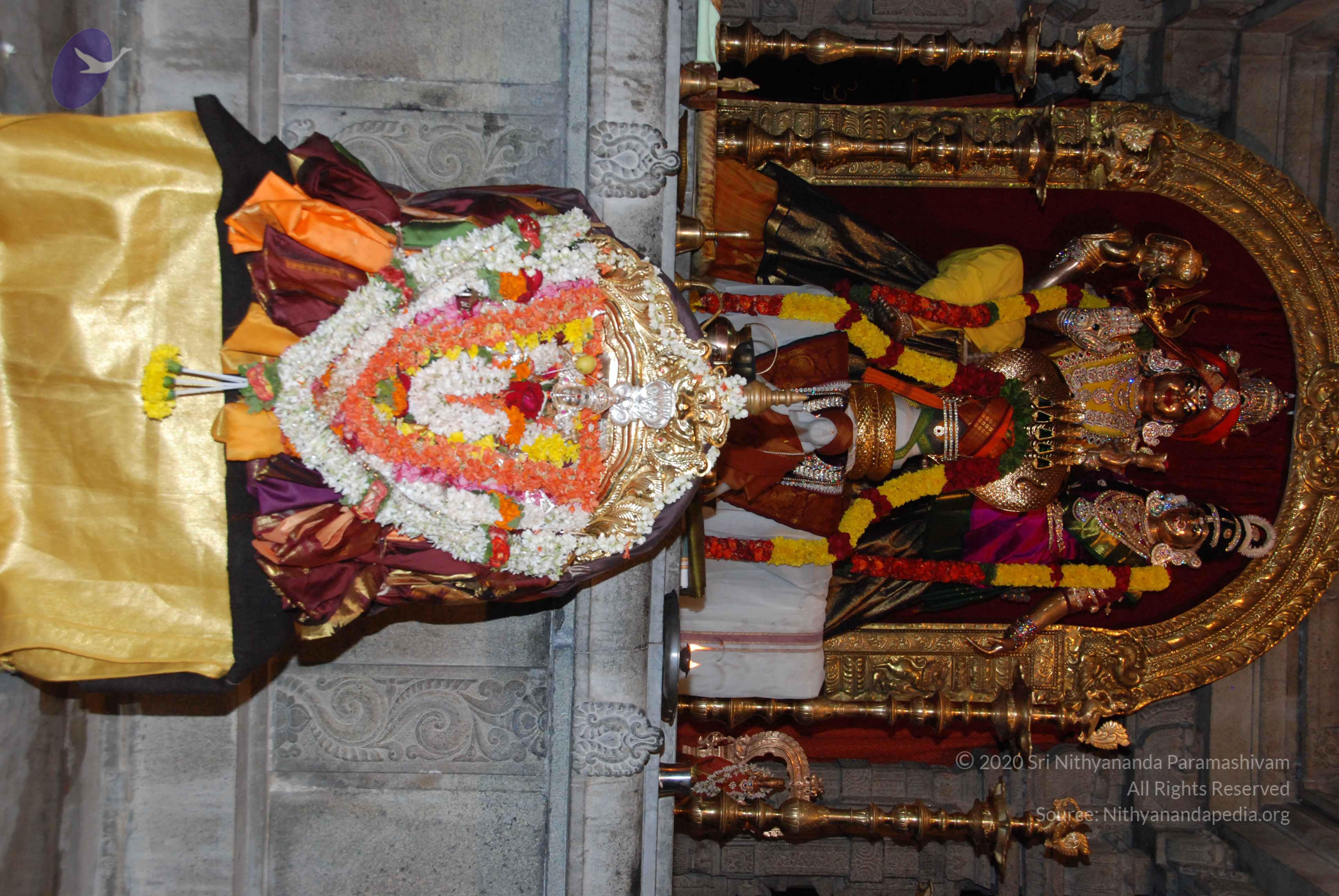 20170720_Photo_1152_DSC_4436_CMP_WM