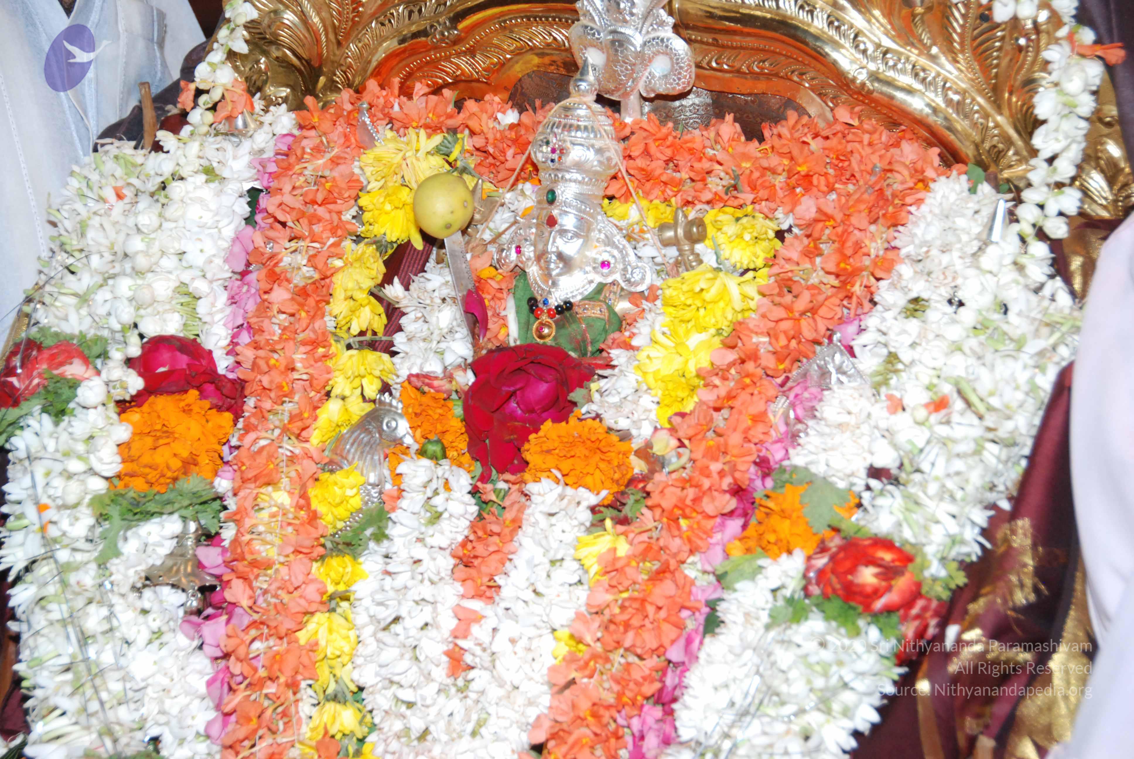 20170720_Photo_1155_DSC_4410_CMP_WM