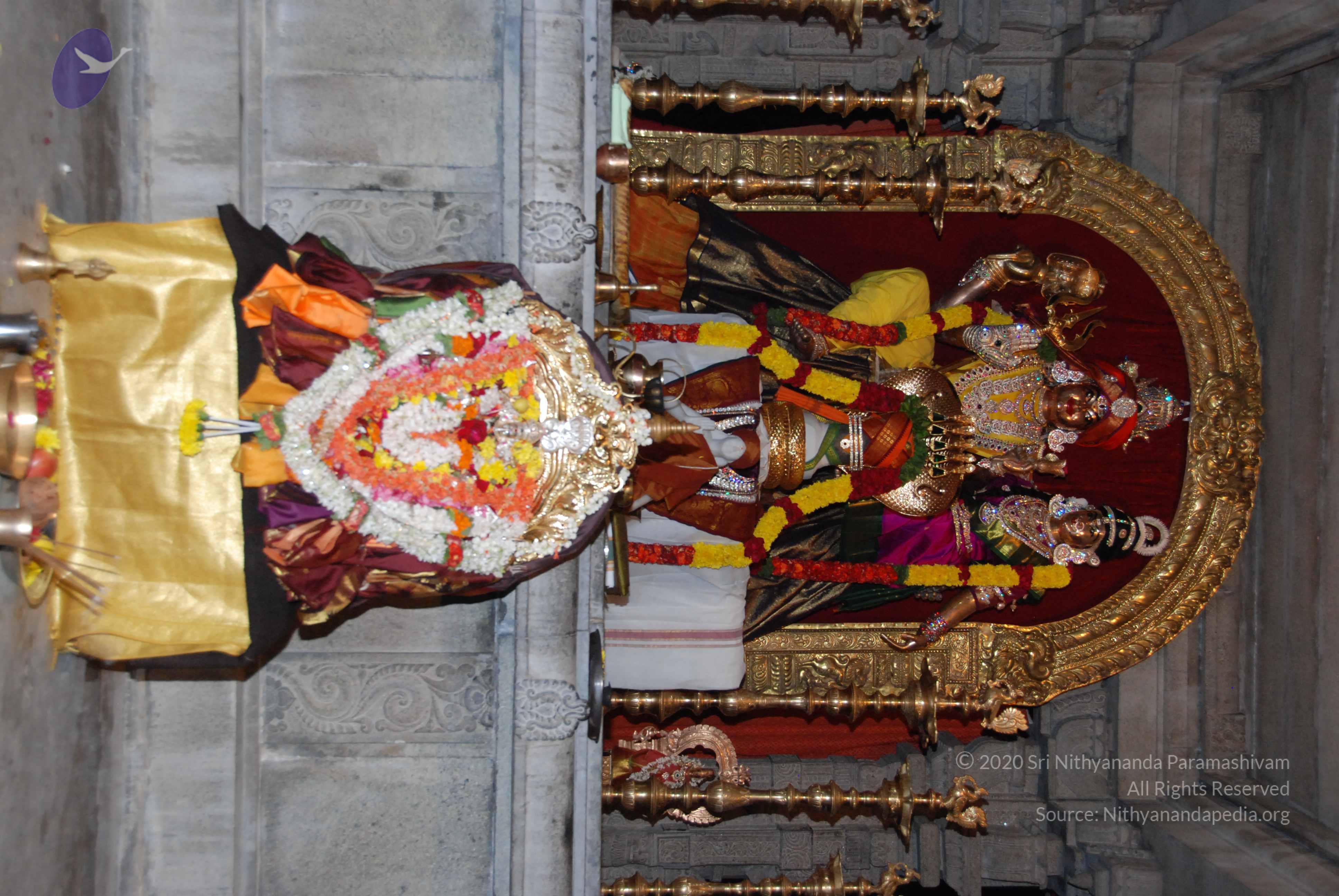 20170720_Photo_1157_DSC_4533_CMP_WM