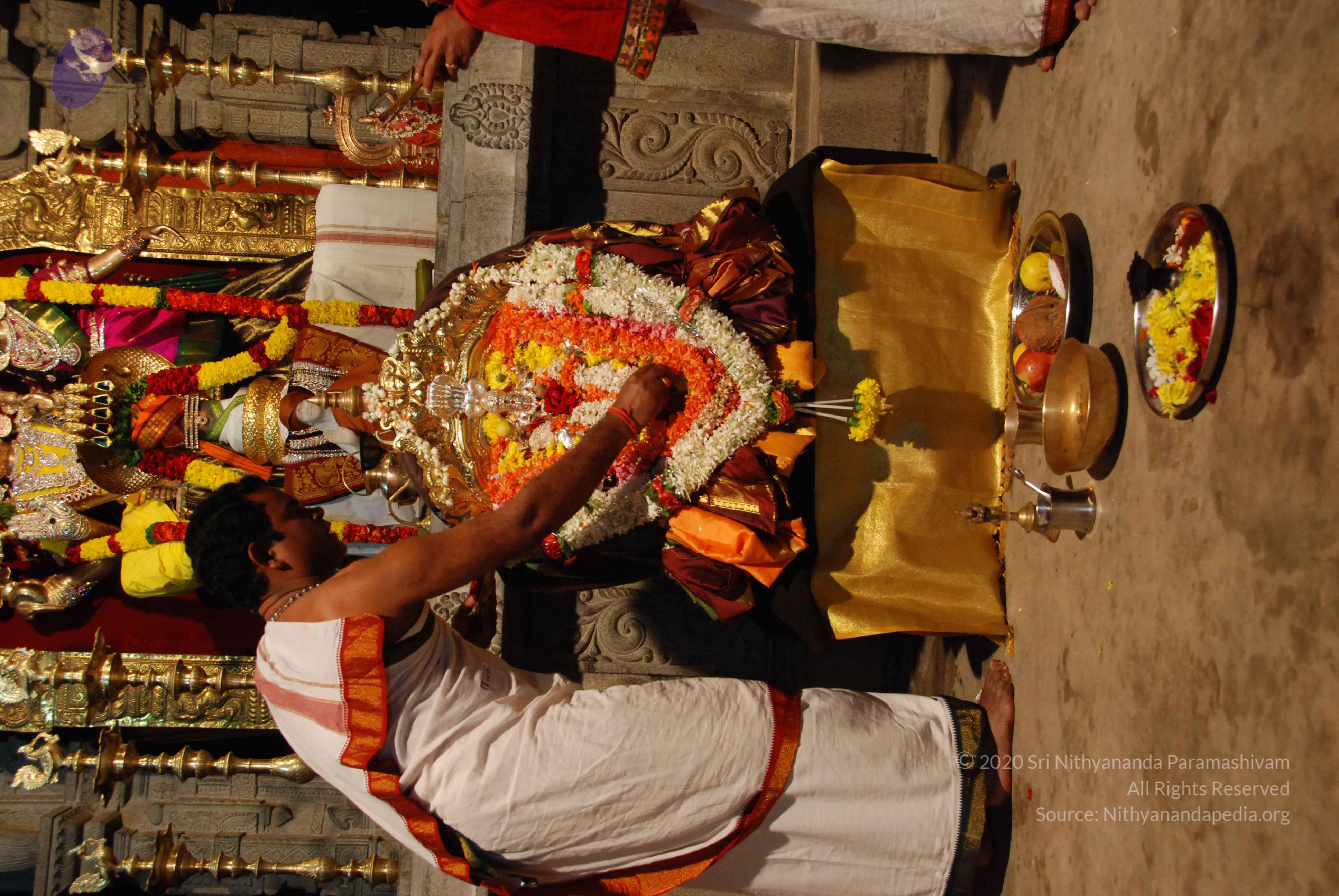 20170720_Photo_1162_DSC_4459_CMP_WM